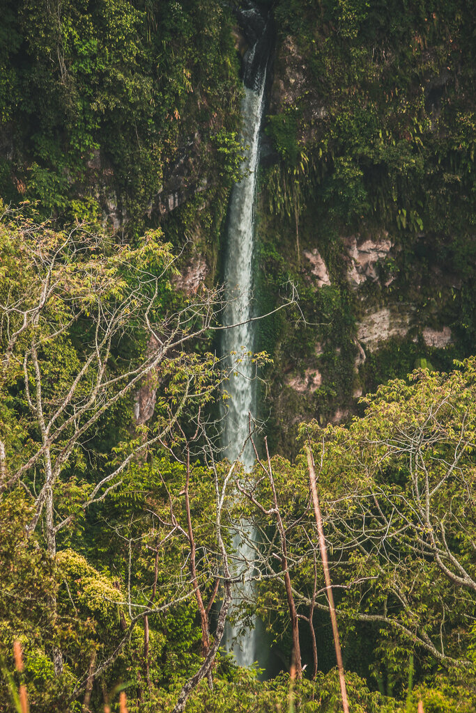 Waterfall Pelangi Waterfall, East Java, photo
