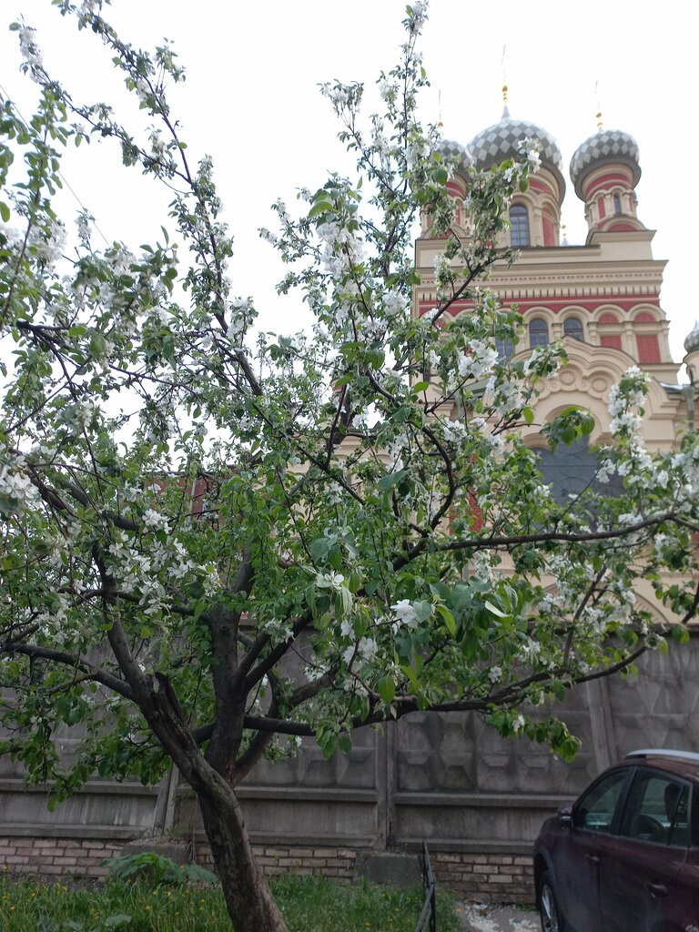 Orthodox church Church of the Intercession of Our Lady, Saint Petersburg, photo