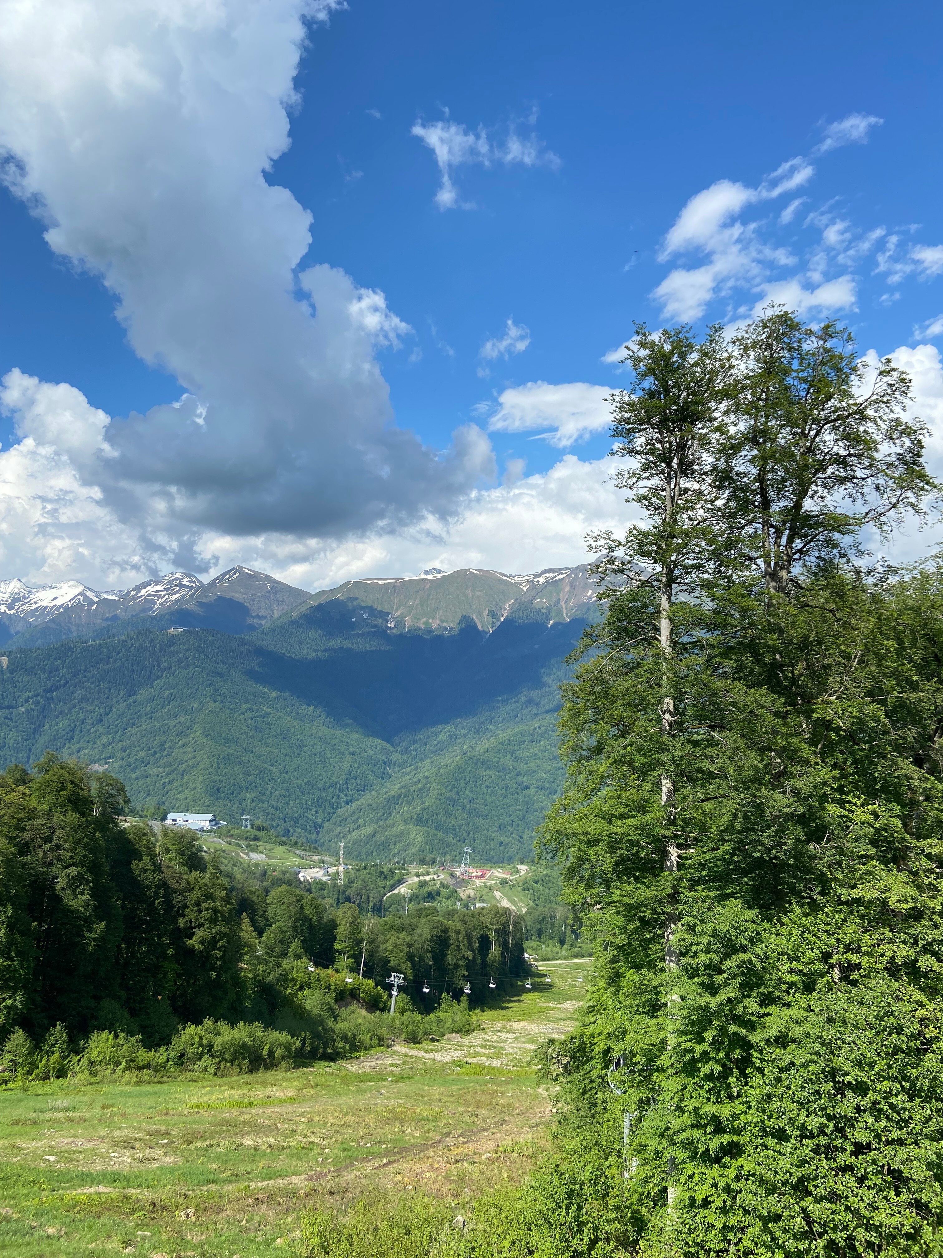 Фото Денарт