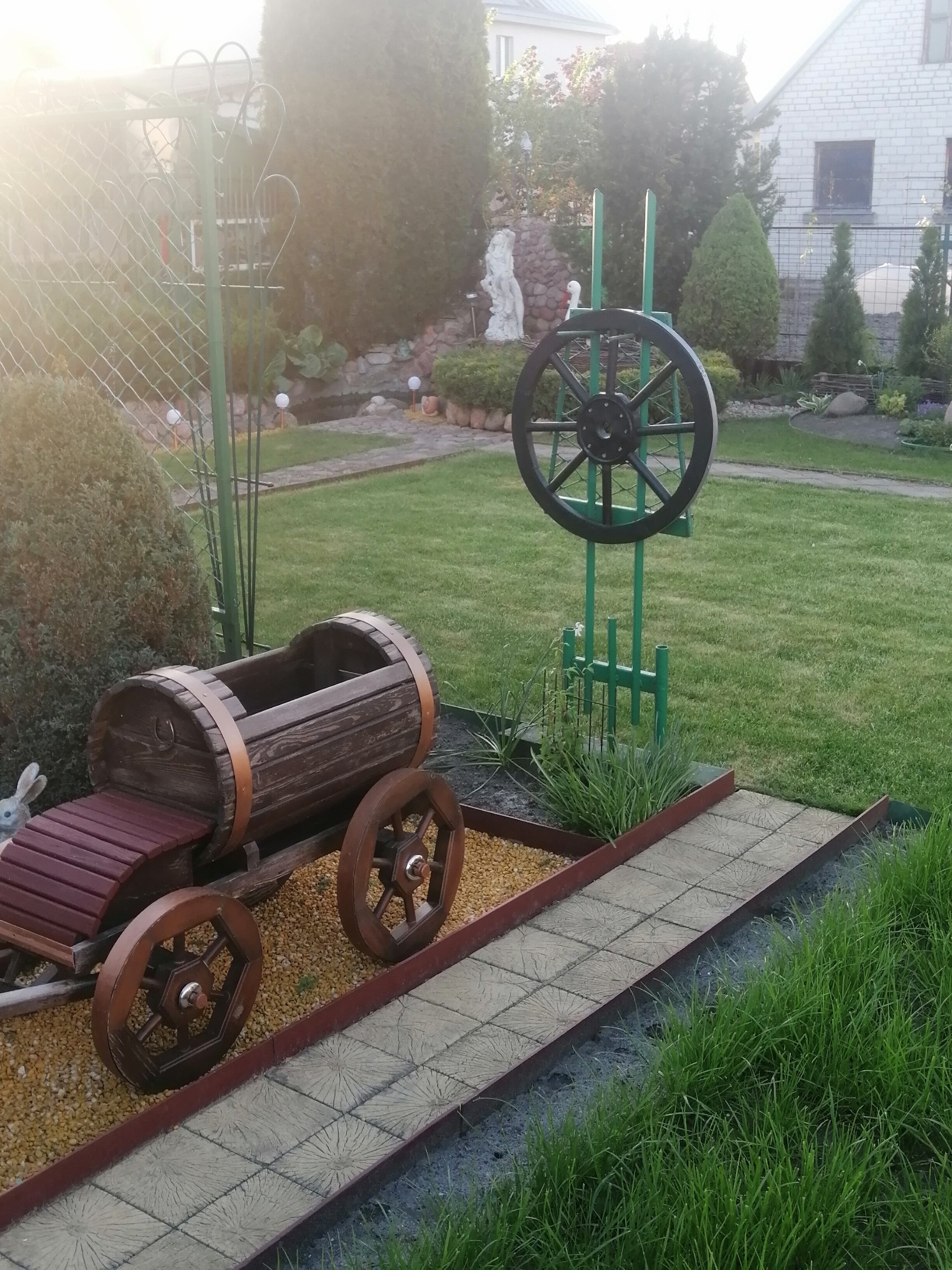 Фото Звезда