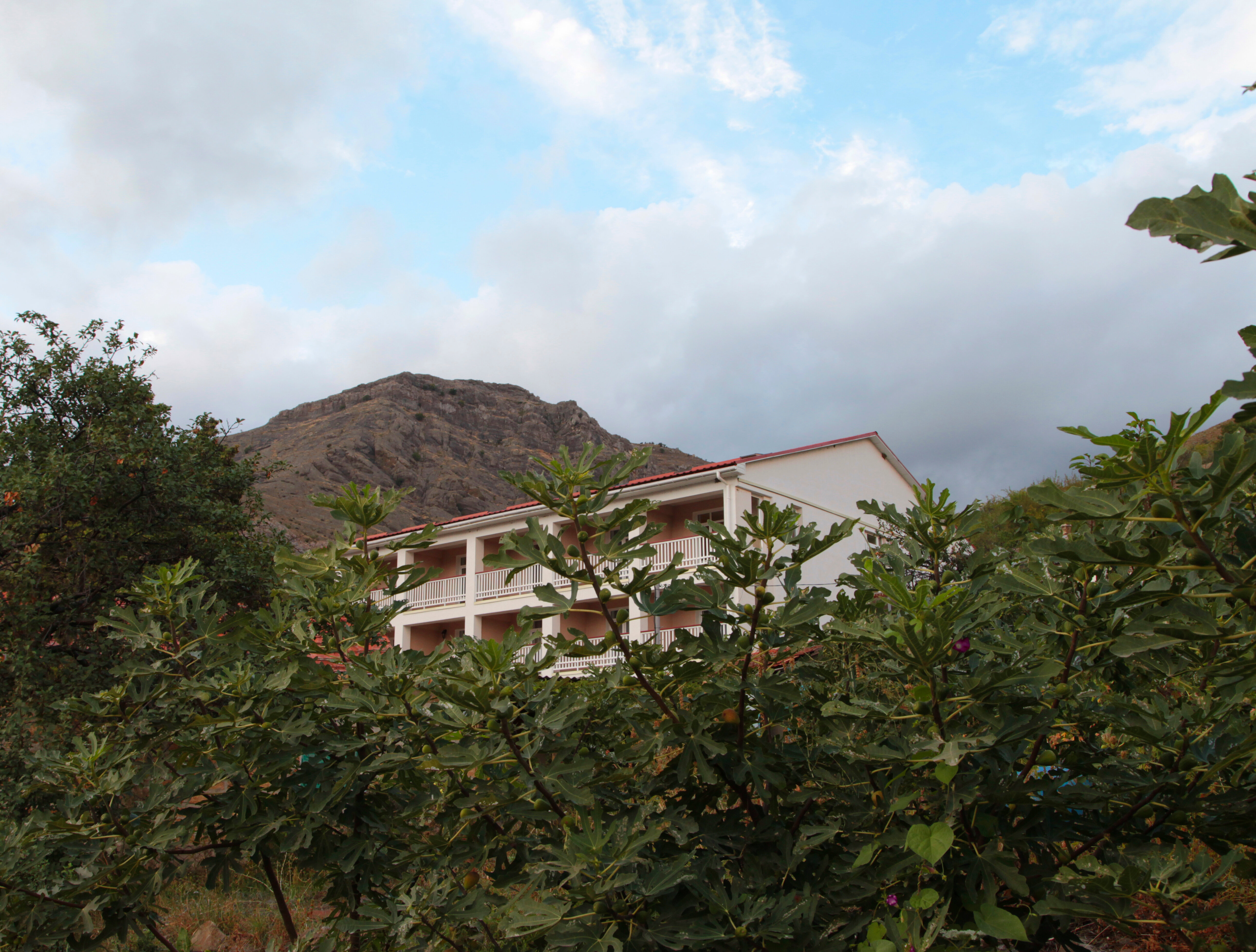 Фото Арпат Зеленогорье