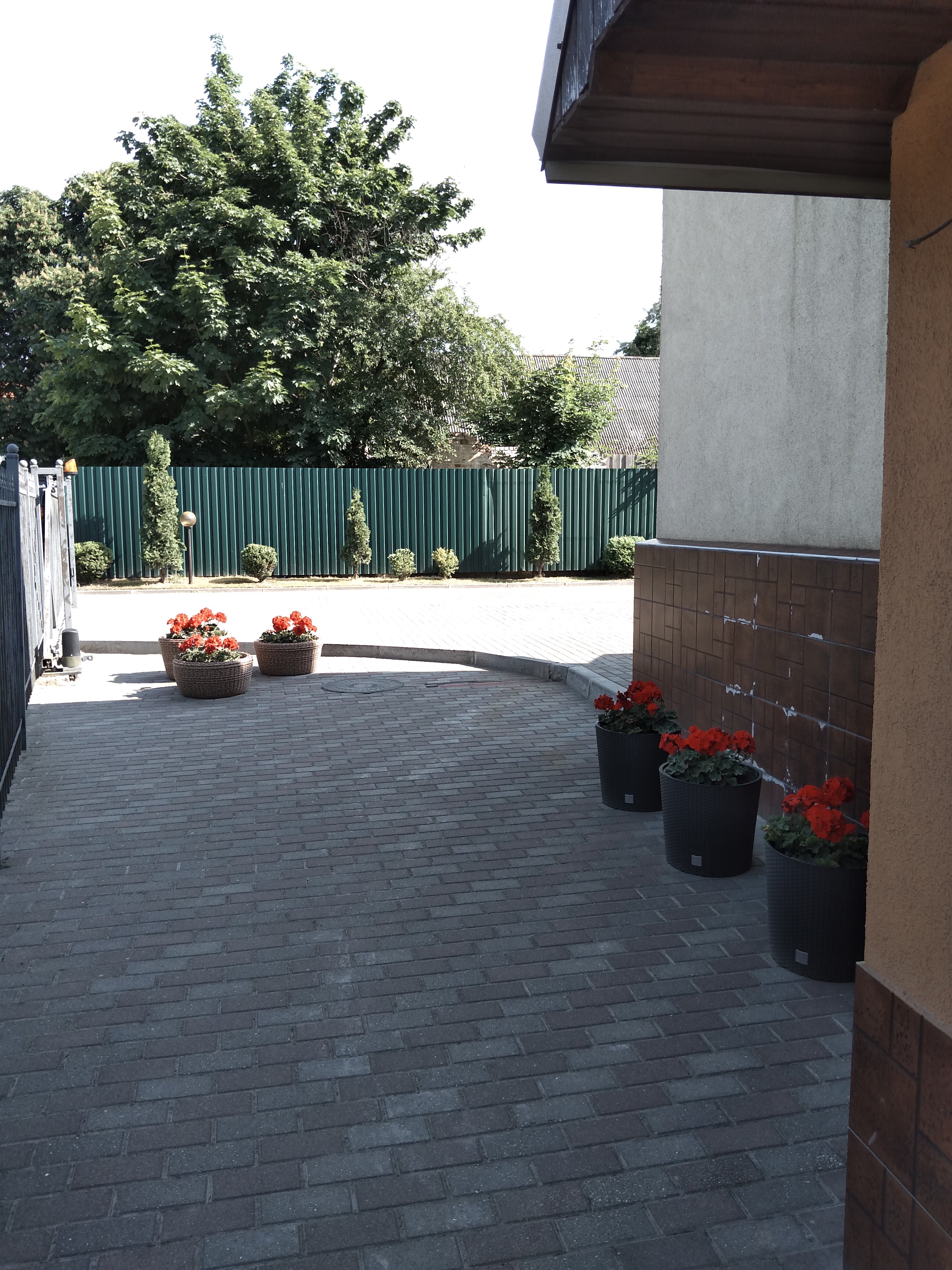 Фото Робертина