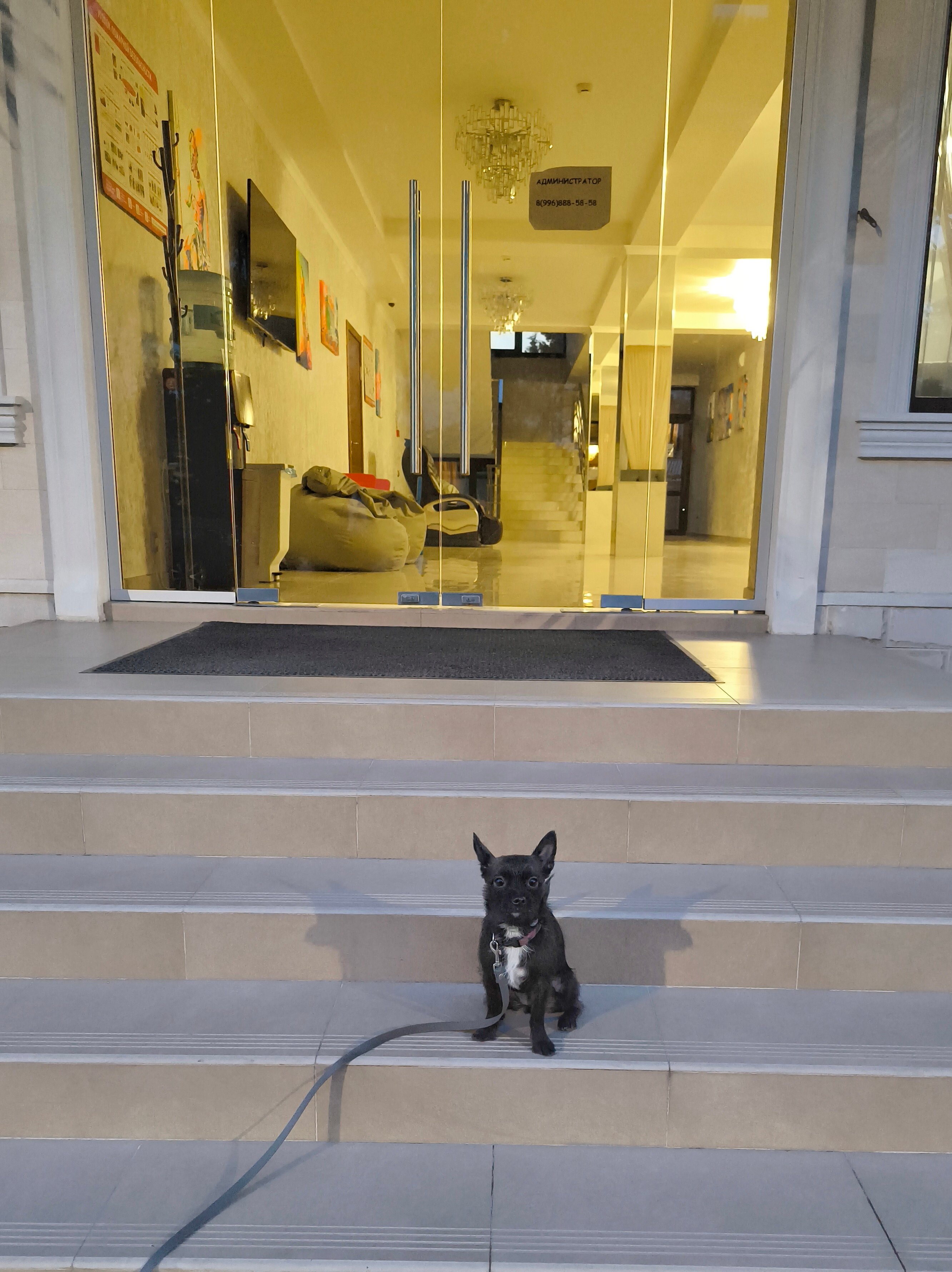 Фото Омега плюс