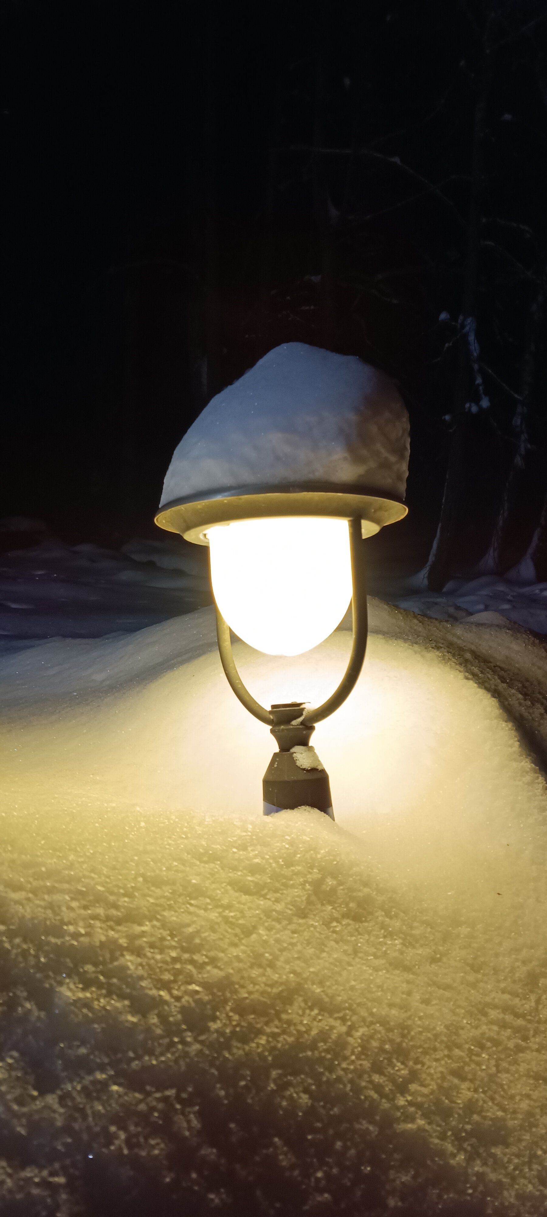 Фото Абрамцево