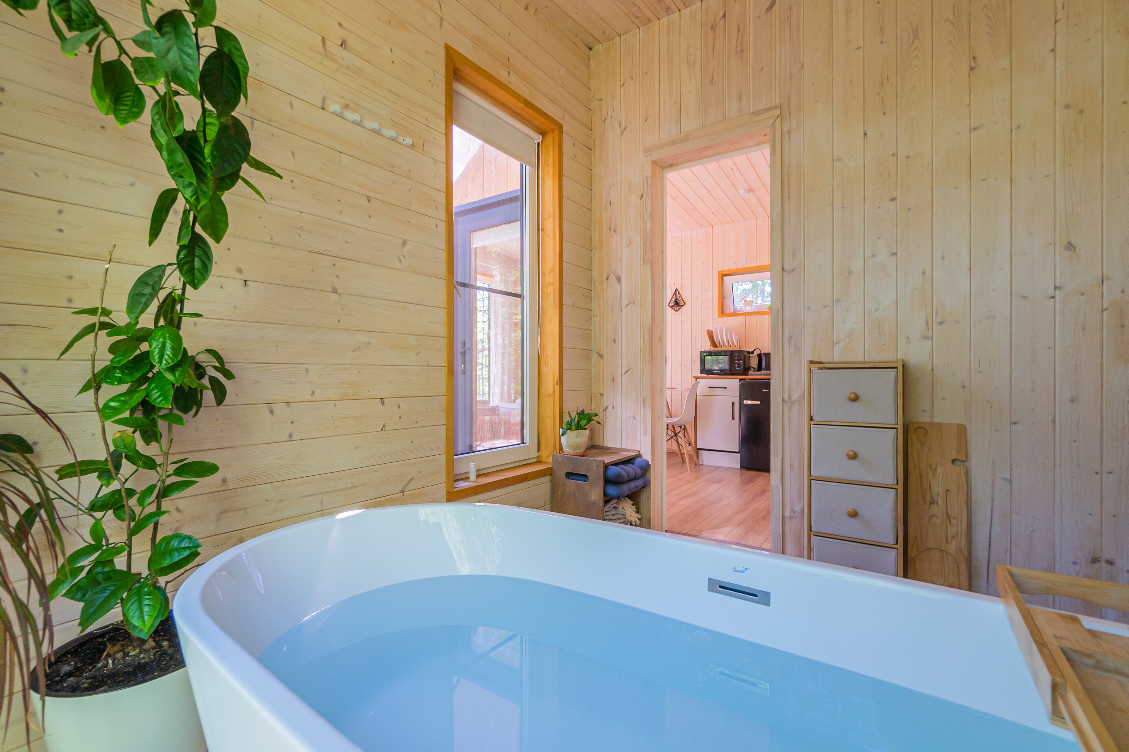 Фото 176623503752