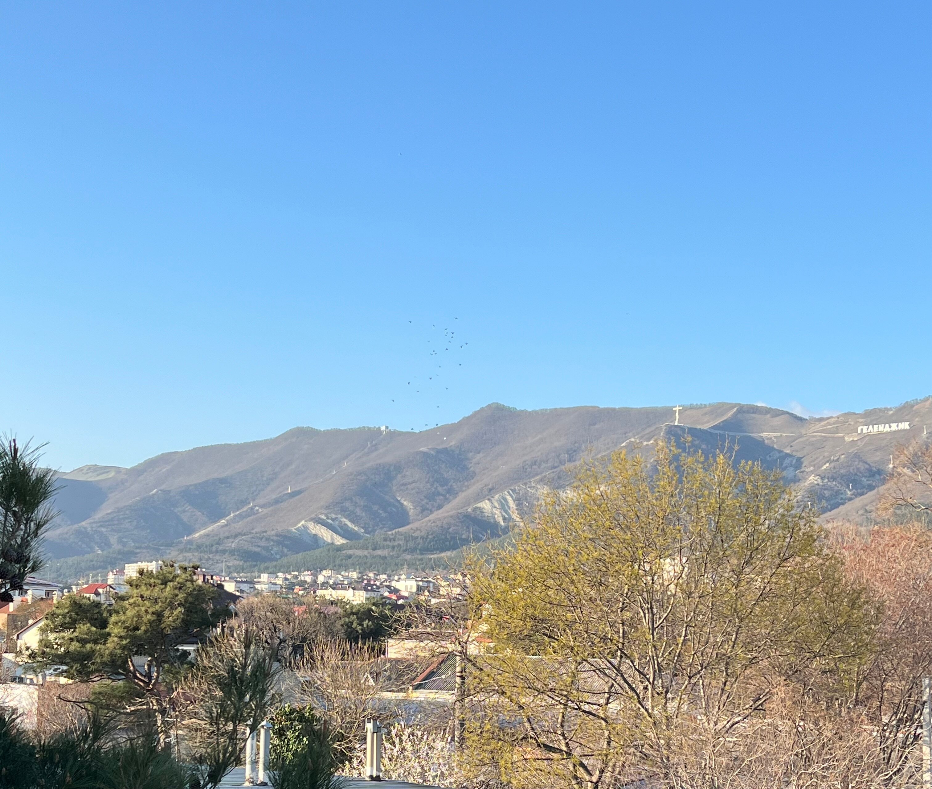 Фото Тристар