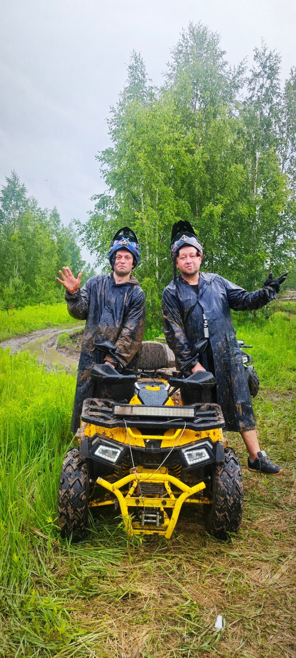 Фото Шепот Леса