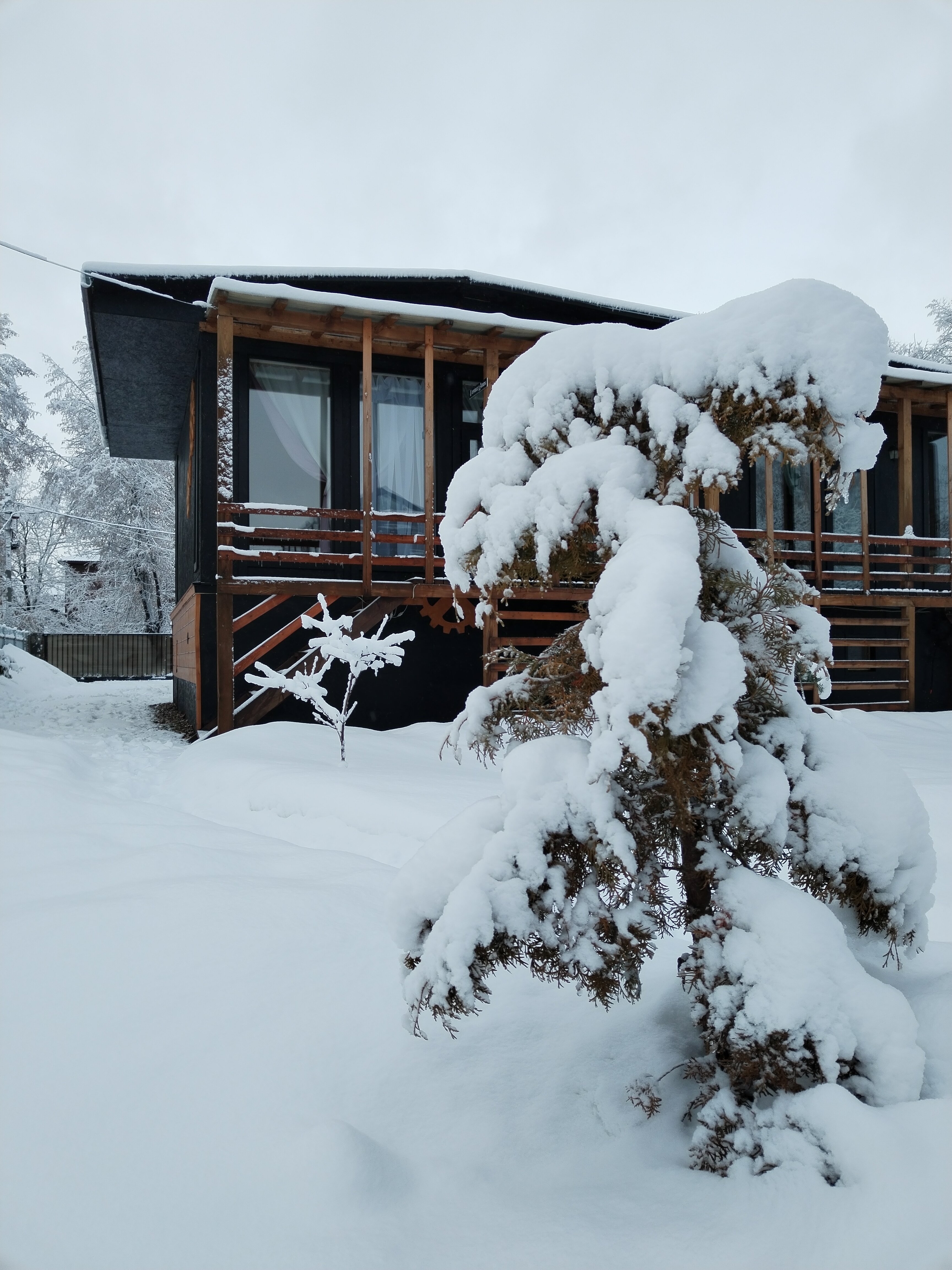 Фото Белый Кролик