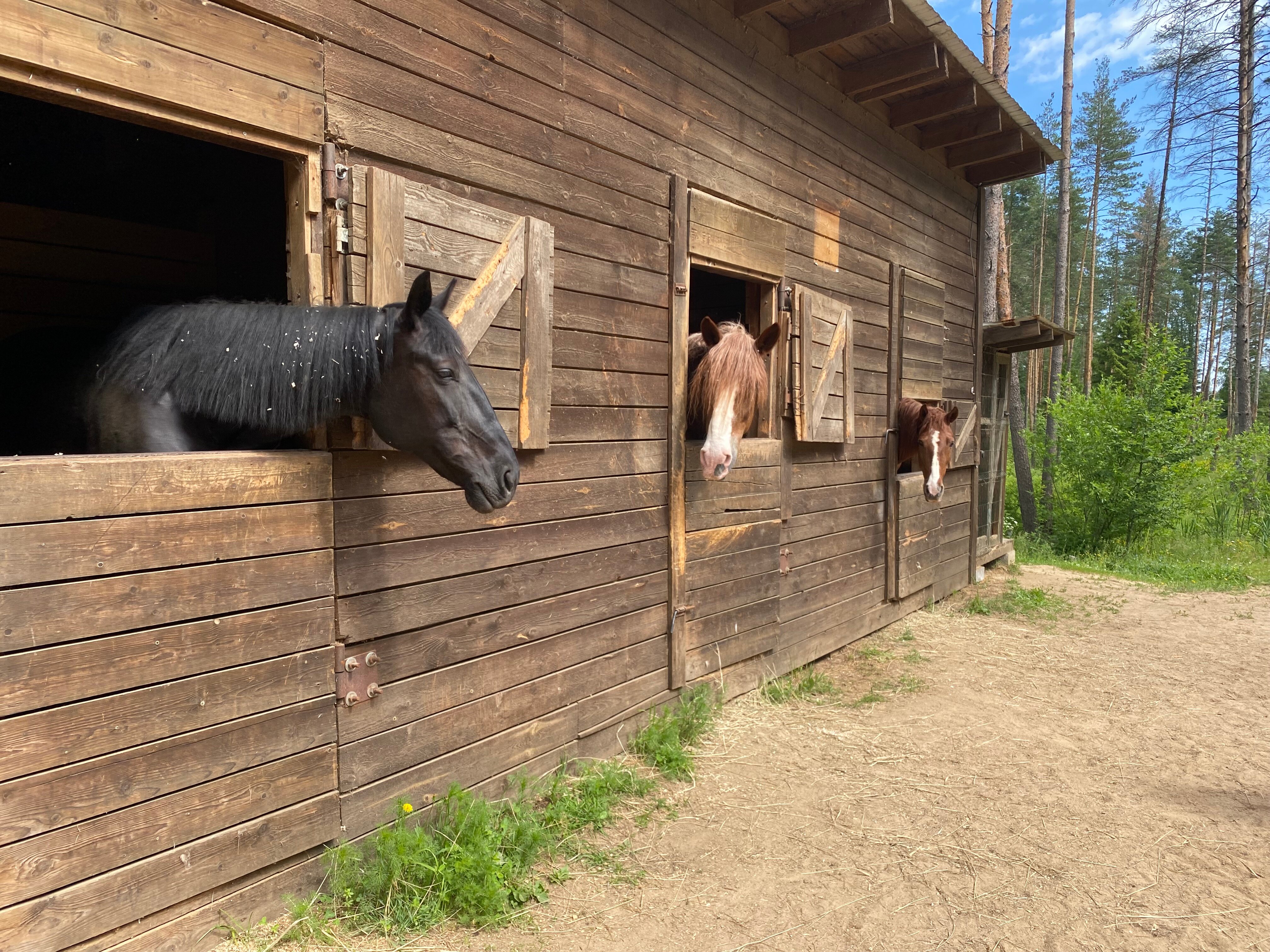 Фото Давинчи Парк