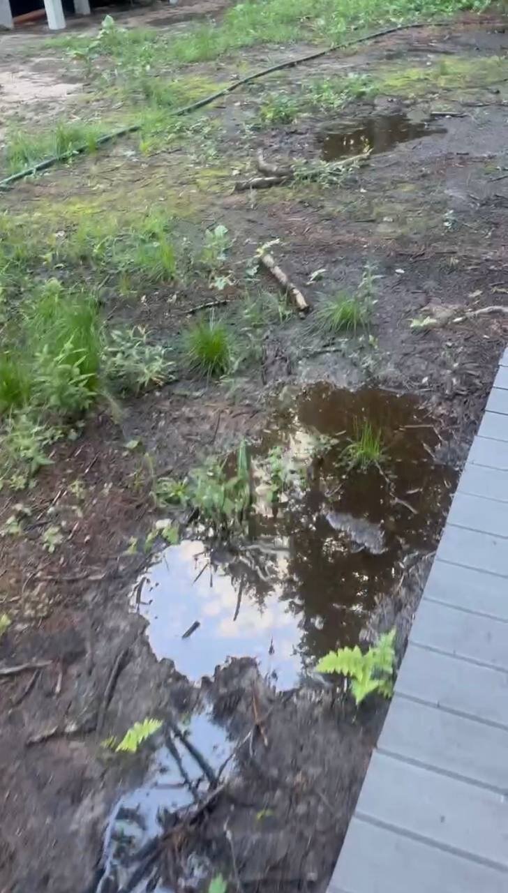 Фото Дом в Лесу