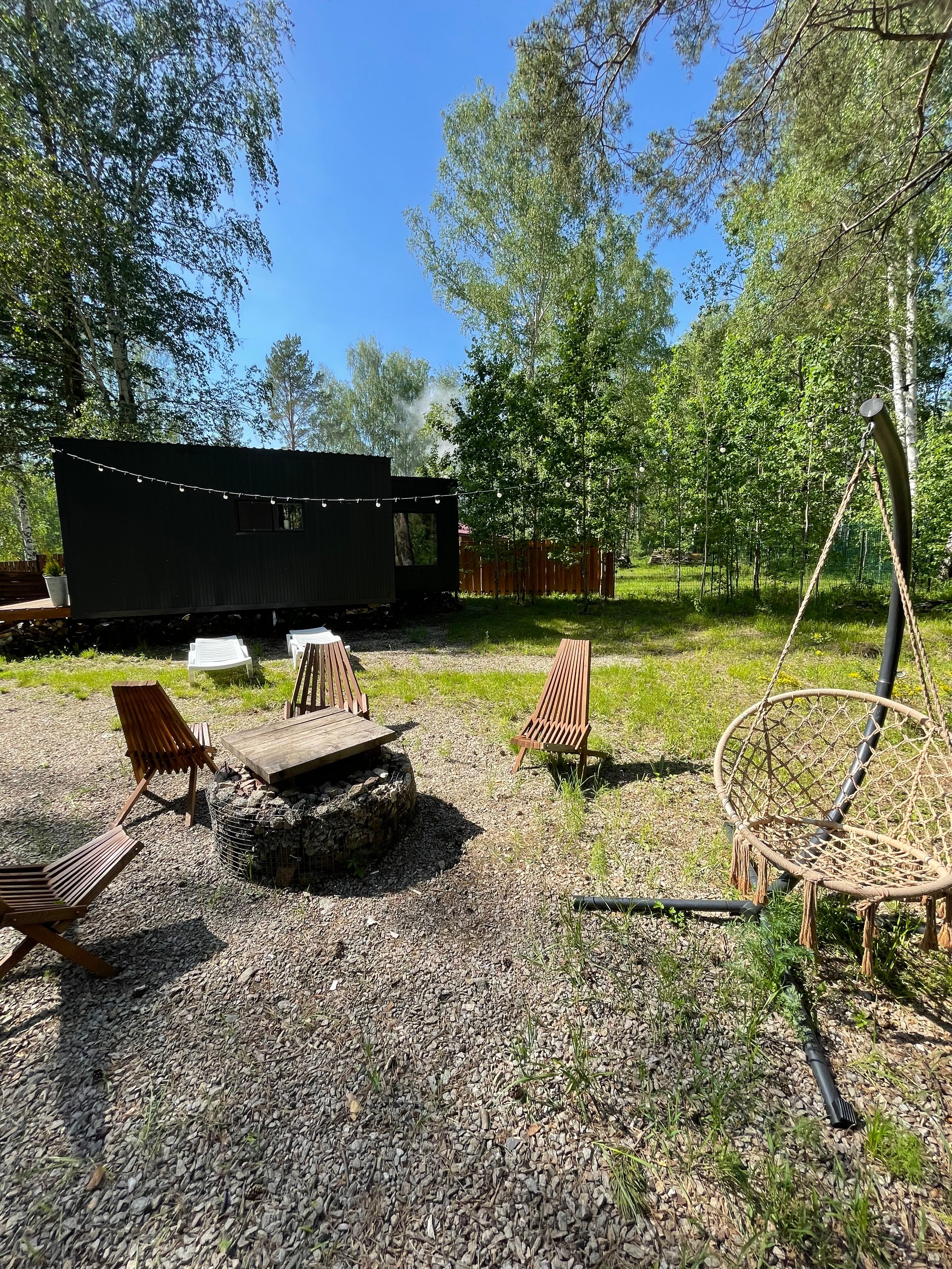 Фото Энергия леса