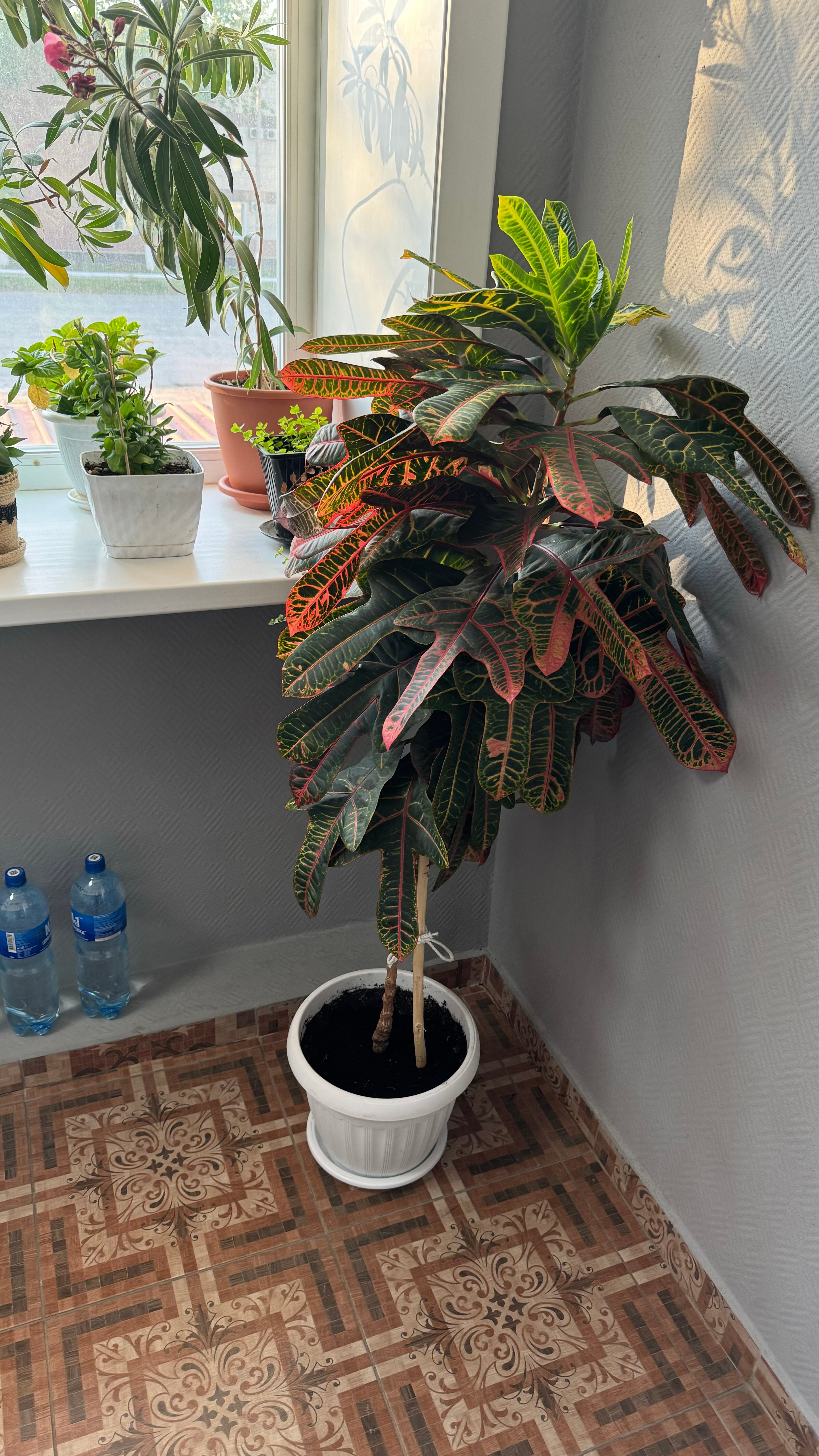 Фото Космос