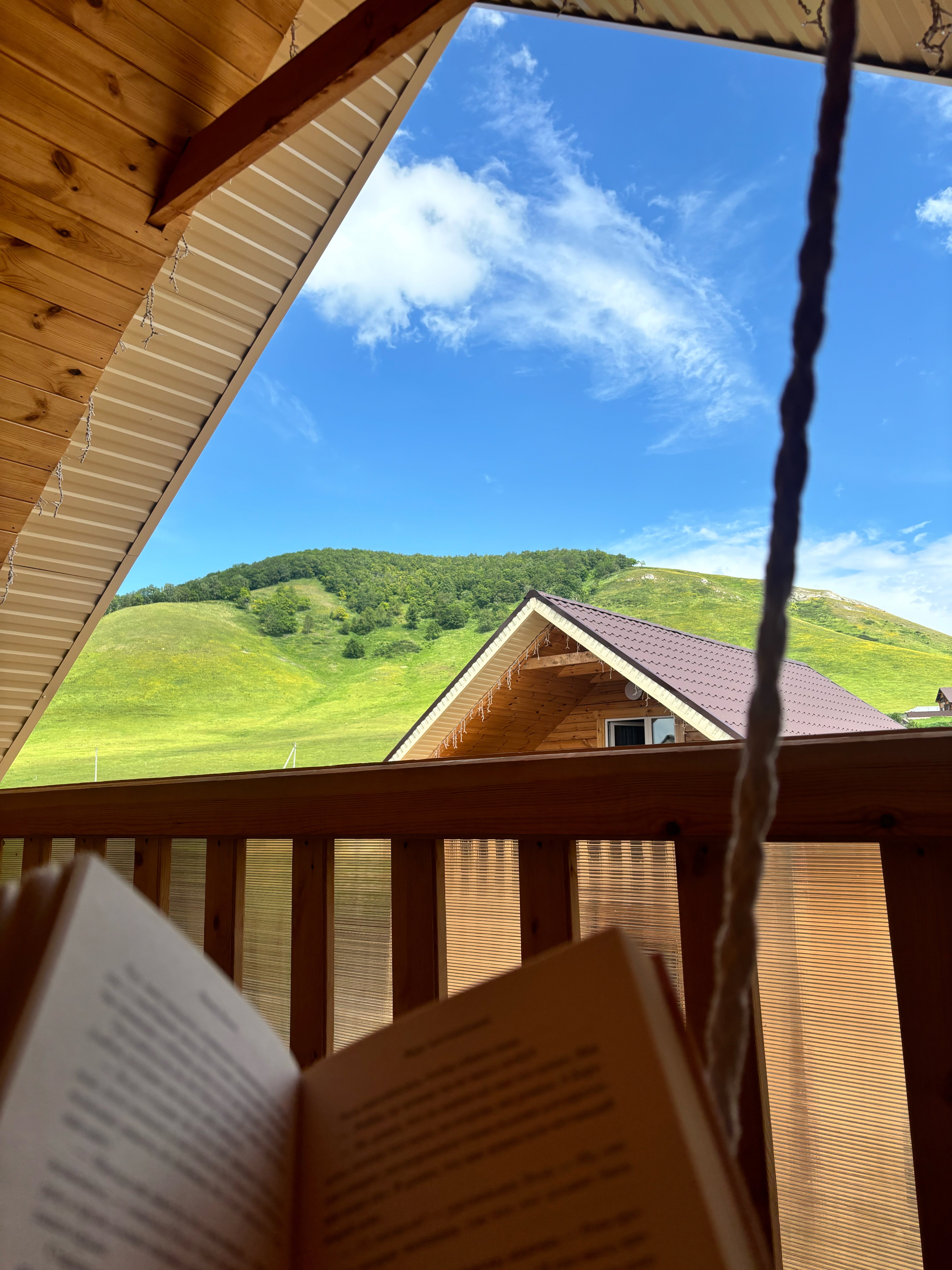 Фото Медвежья поляна