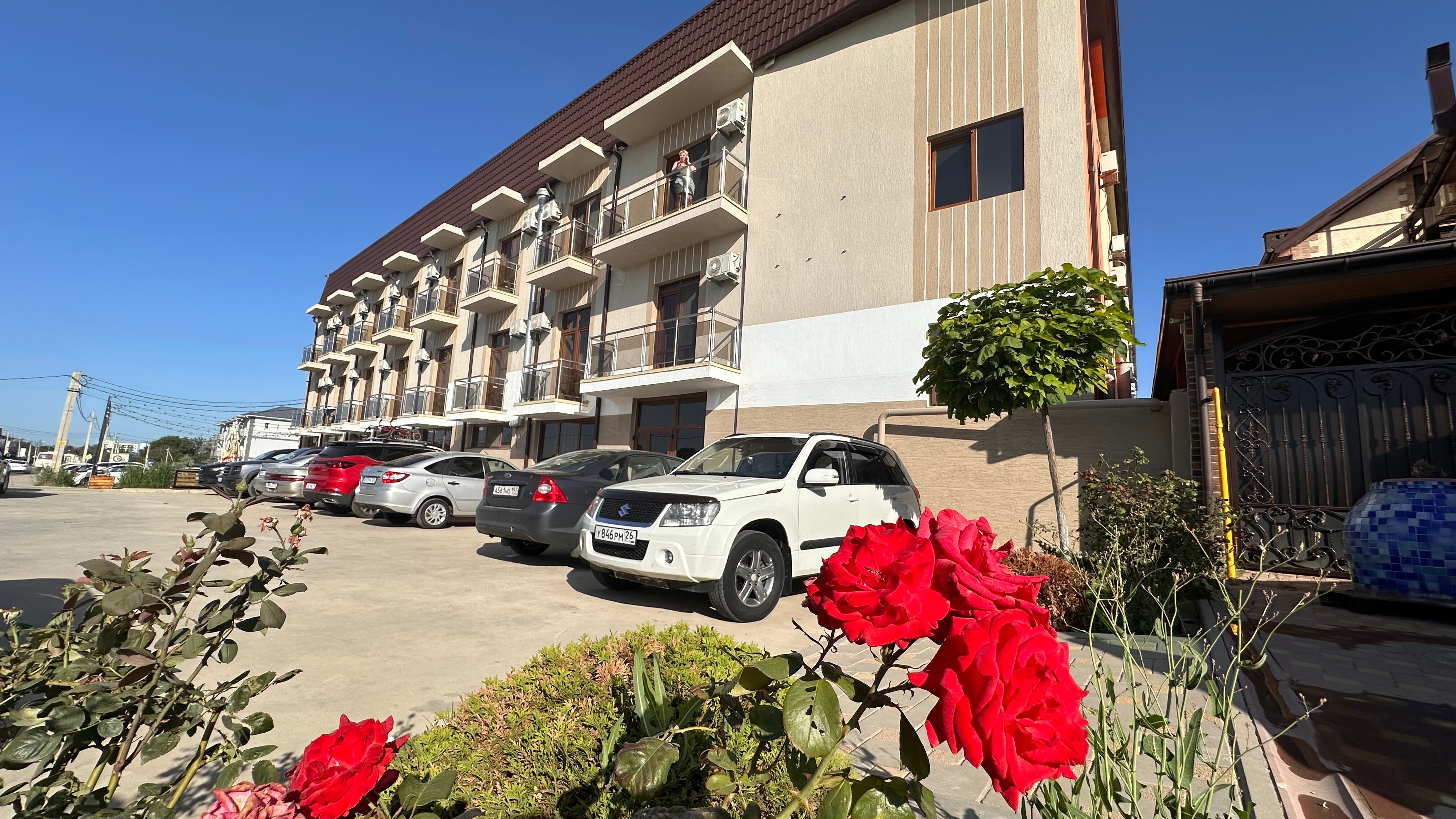 Фото Анести