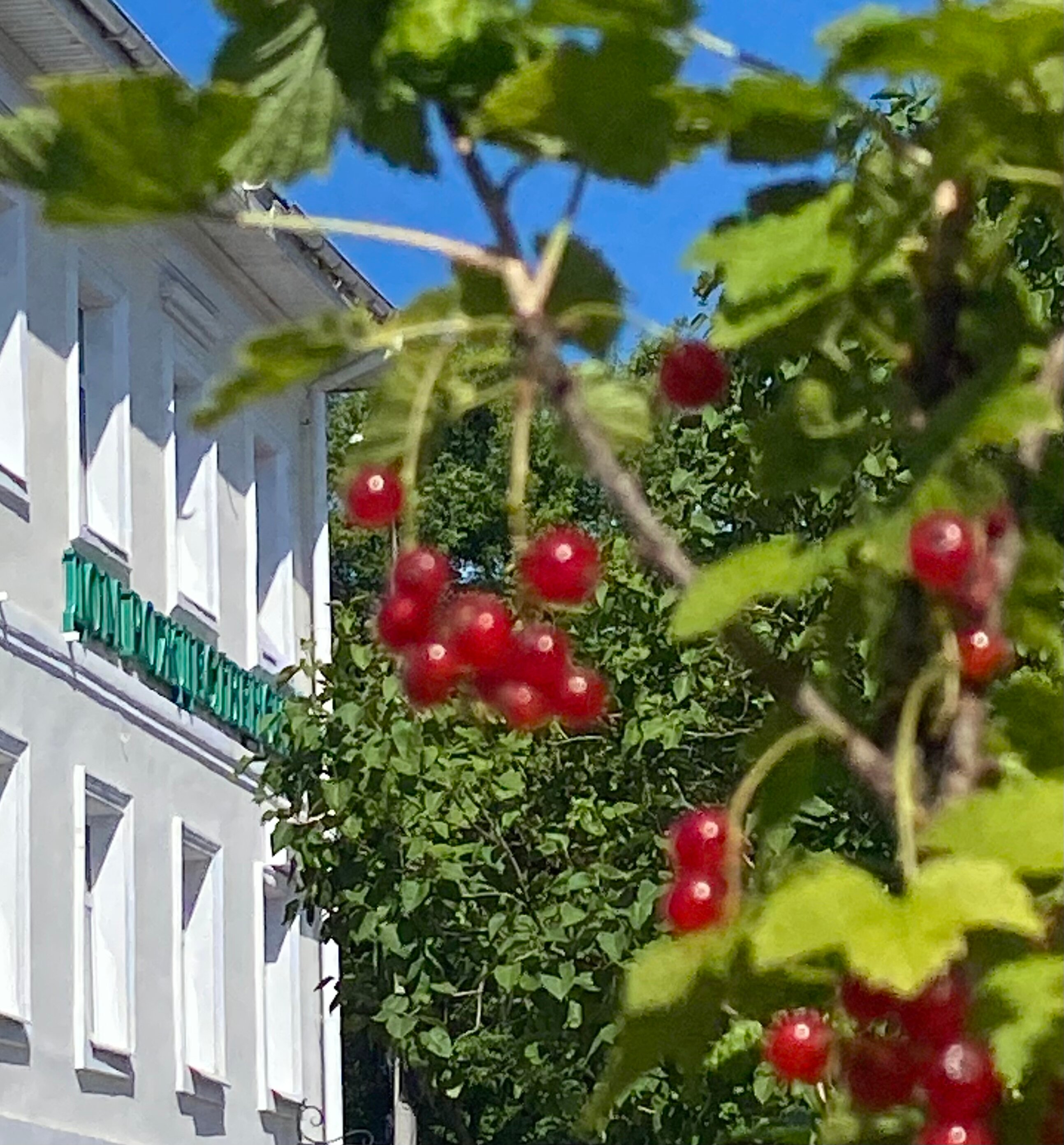 Фото Дом Рождественский