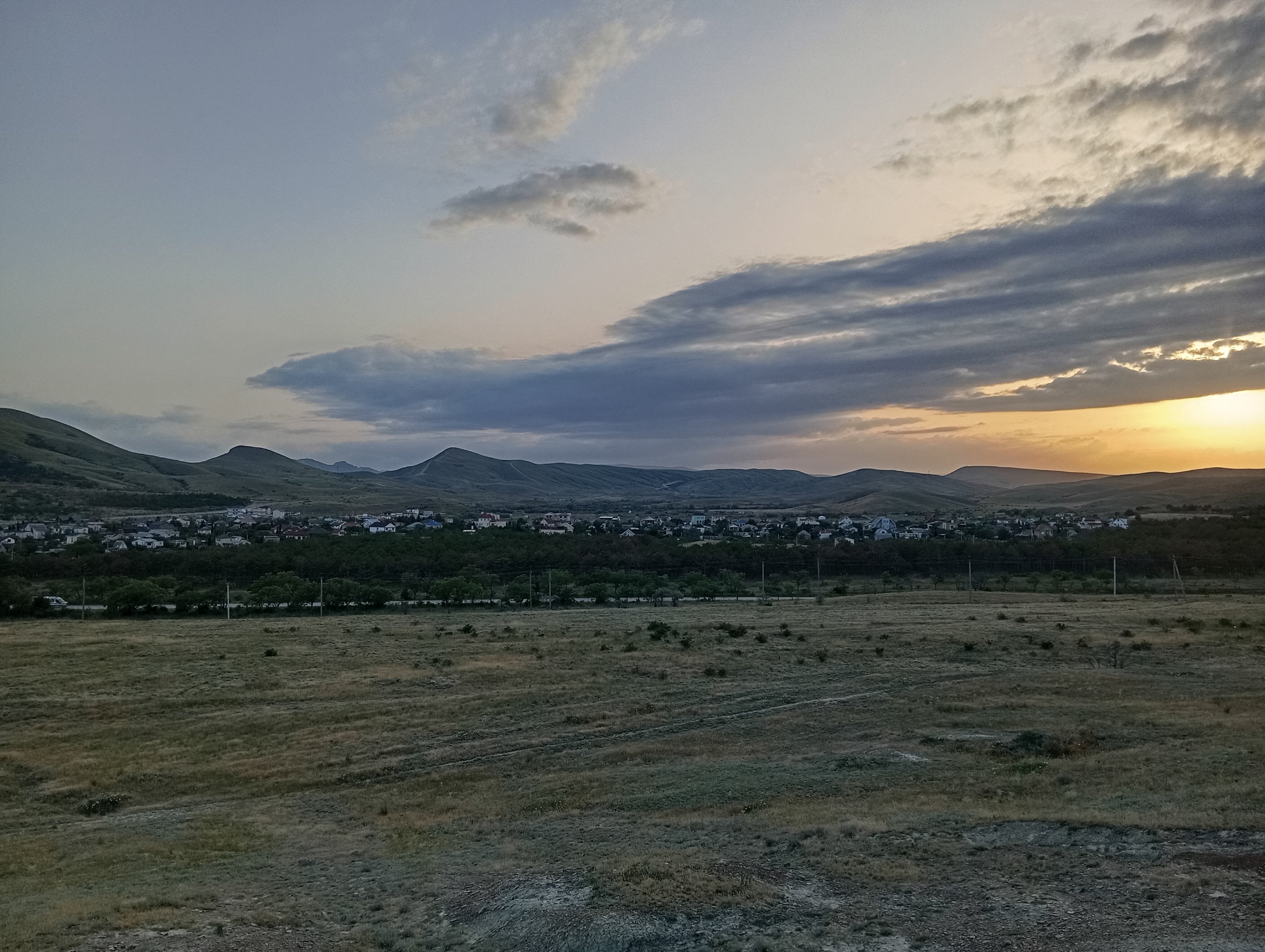 Фото Эллинг у Зои