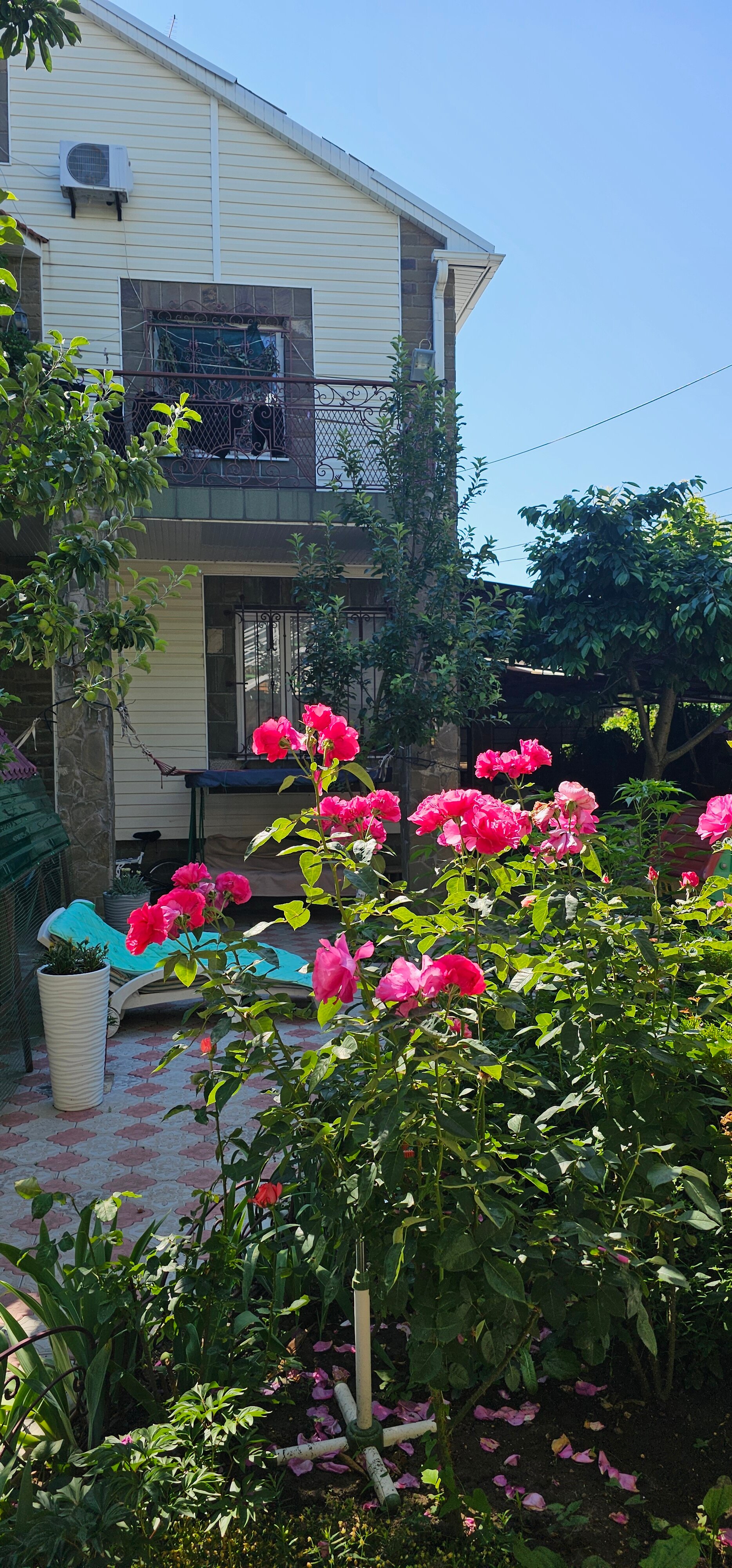 Фото Александровский сад у моря