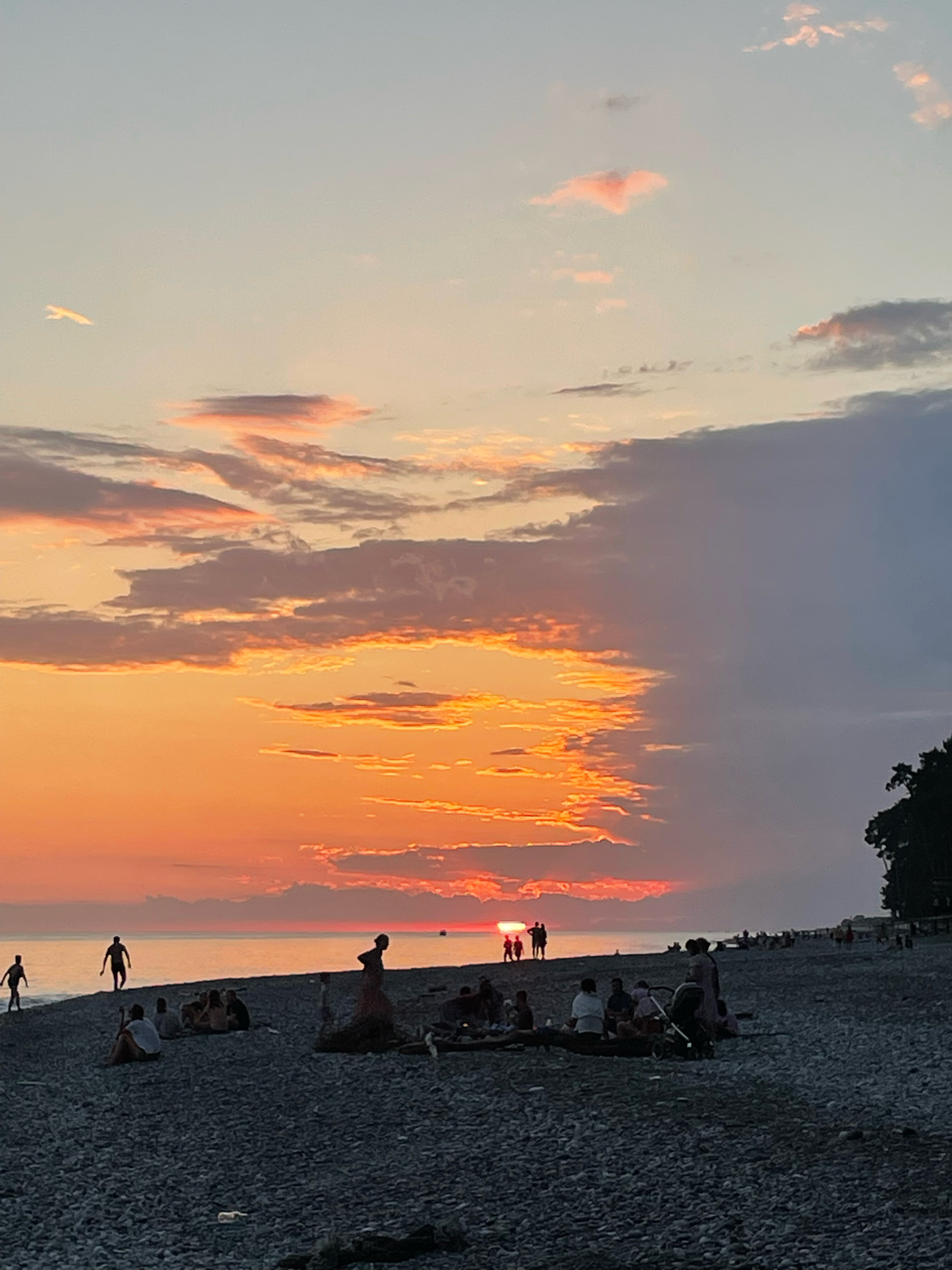 Фото Сосновый рай