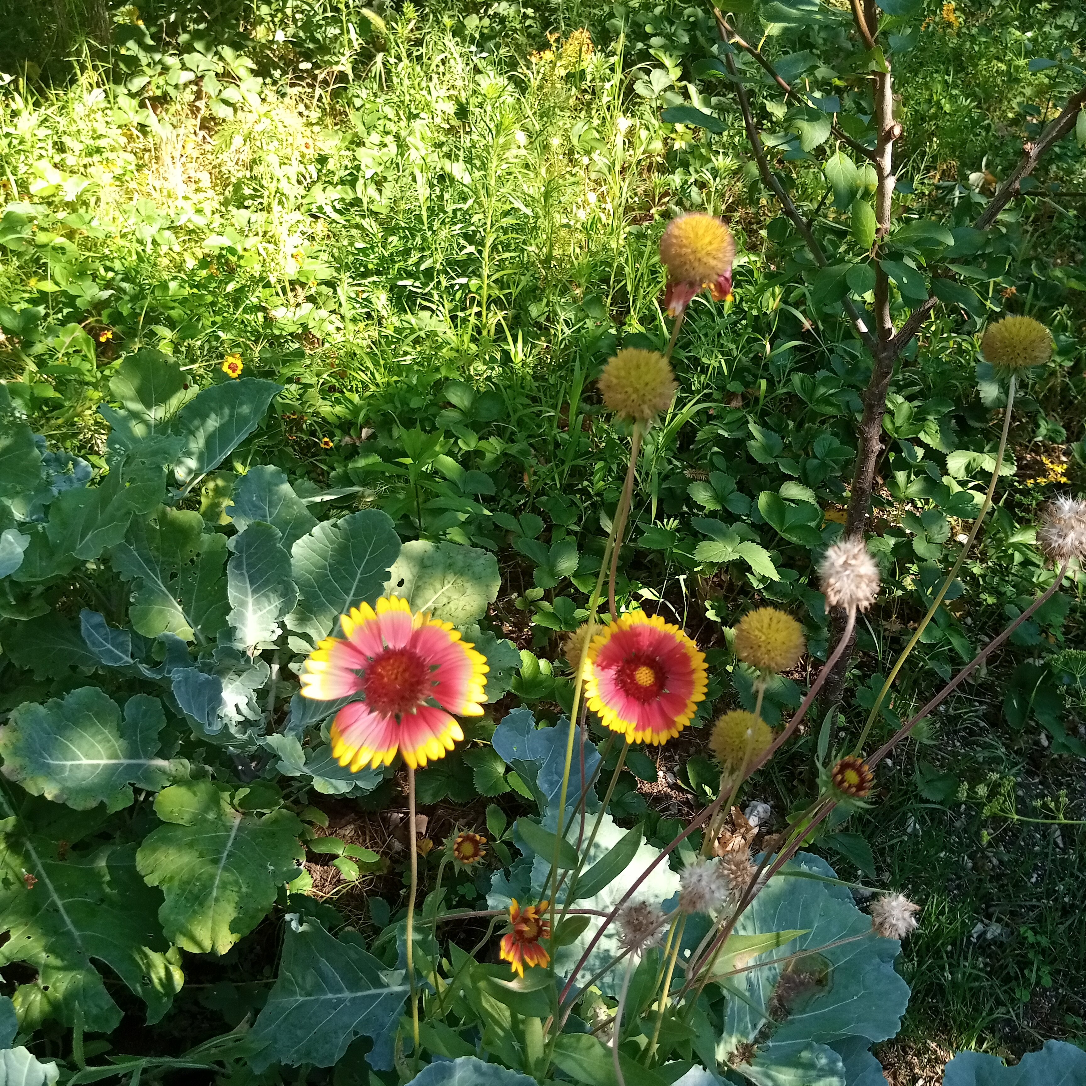 Фото Гостевой Дом Изабелла