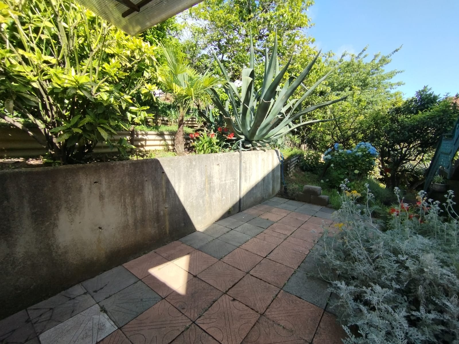 Фото У Артема и Сусанны