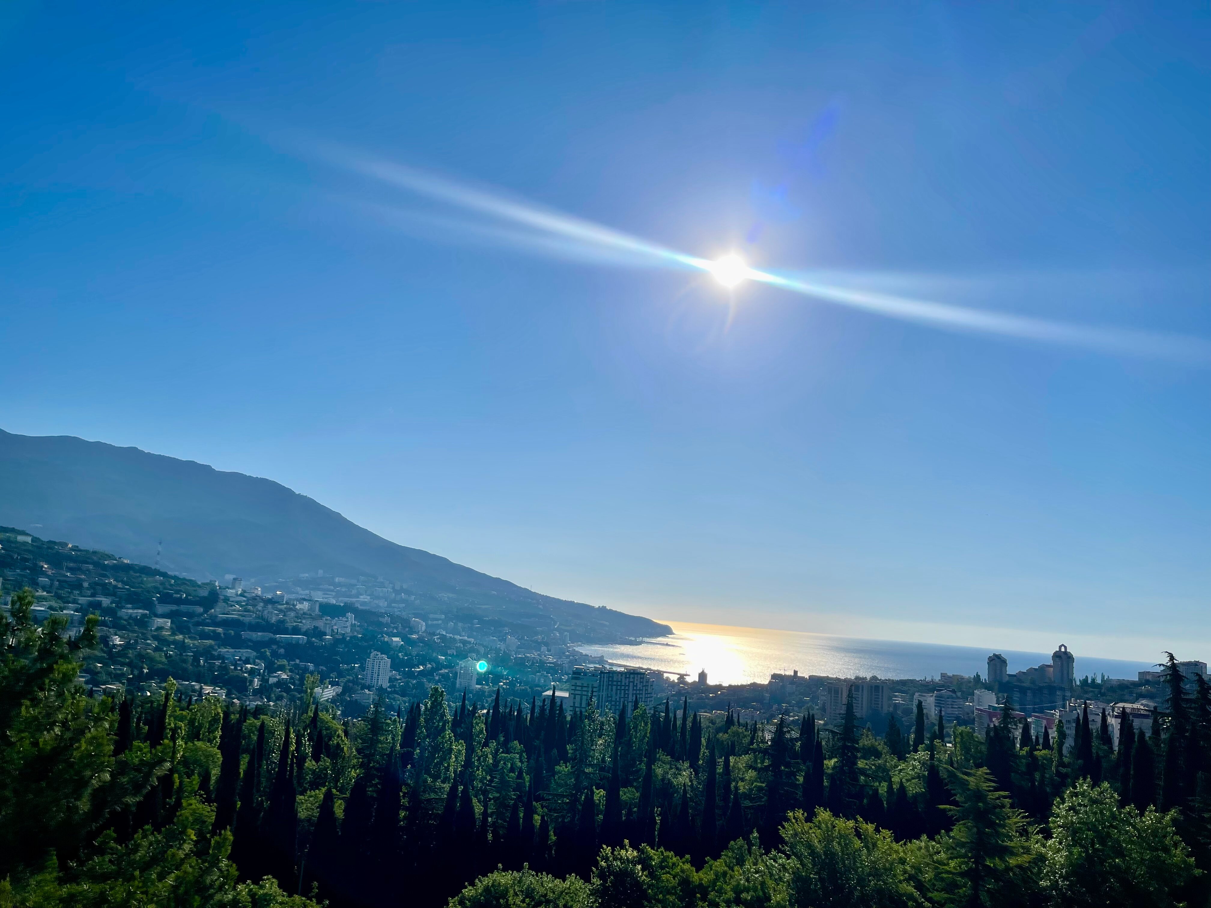 Фото Борода