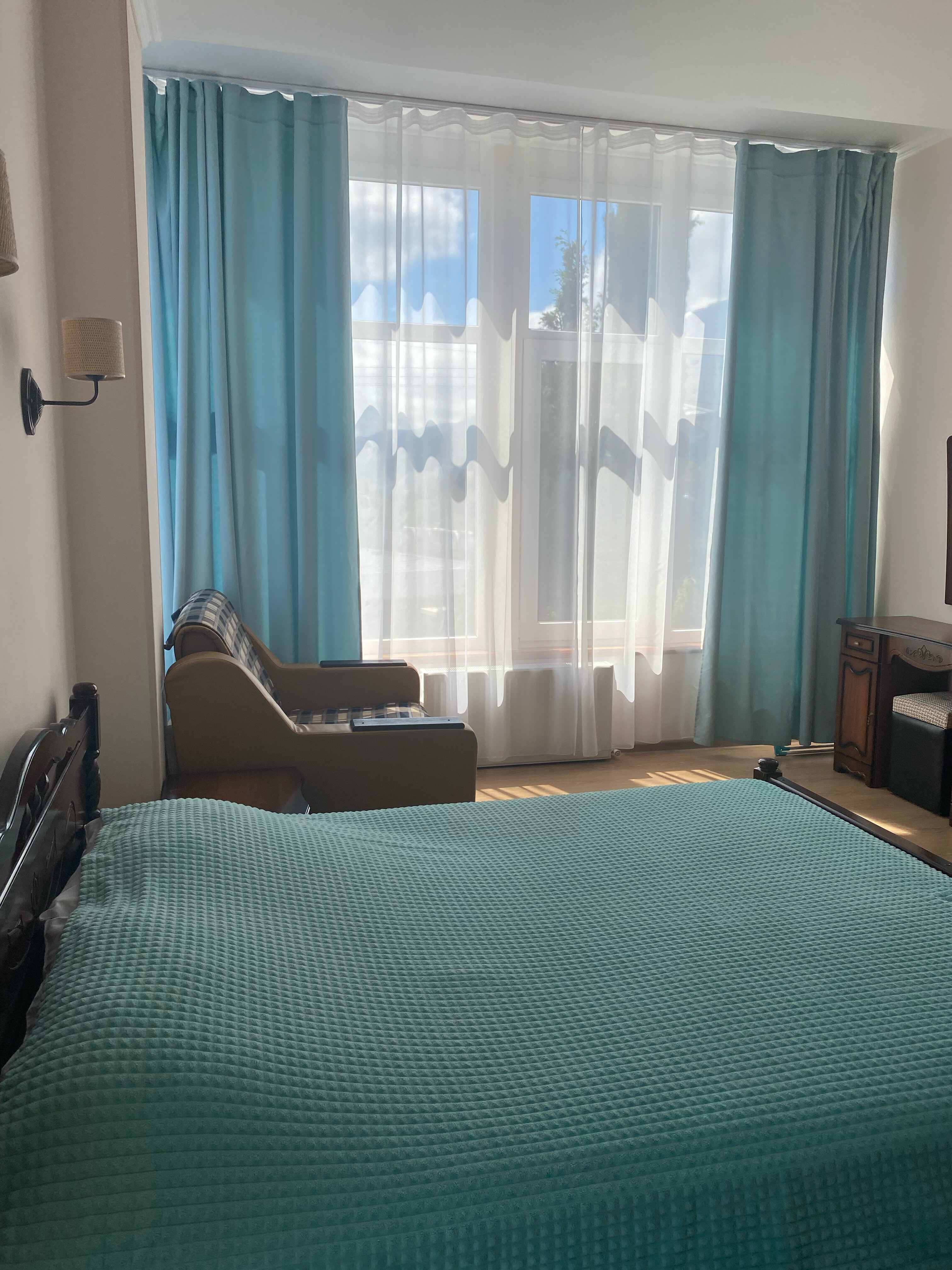 Фото Пальма