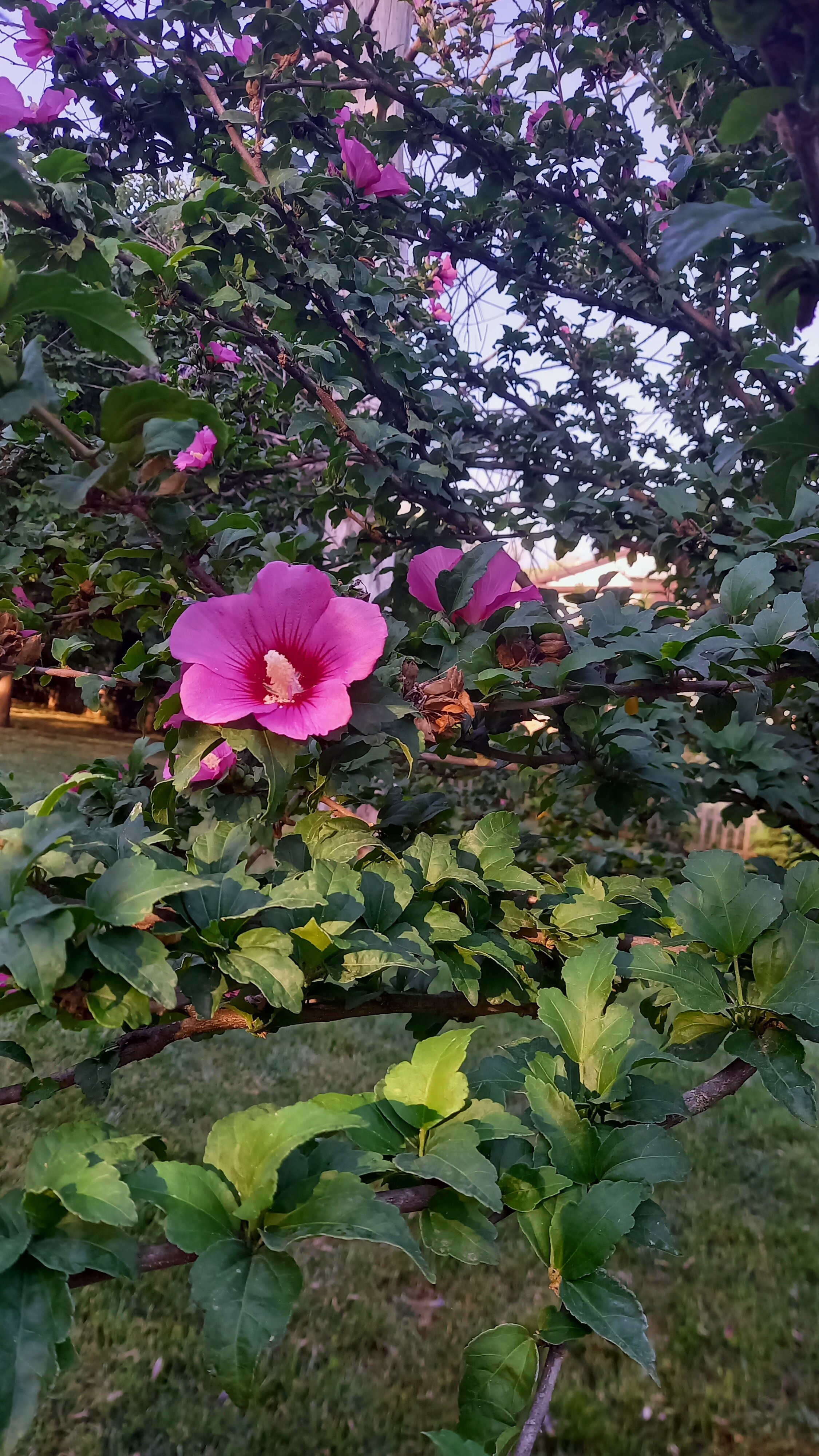 Фото Надежда