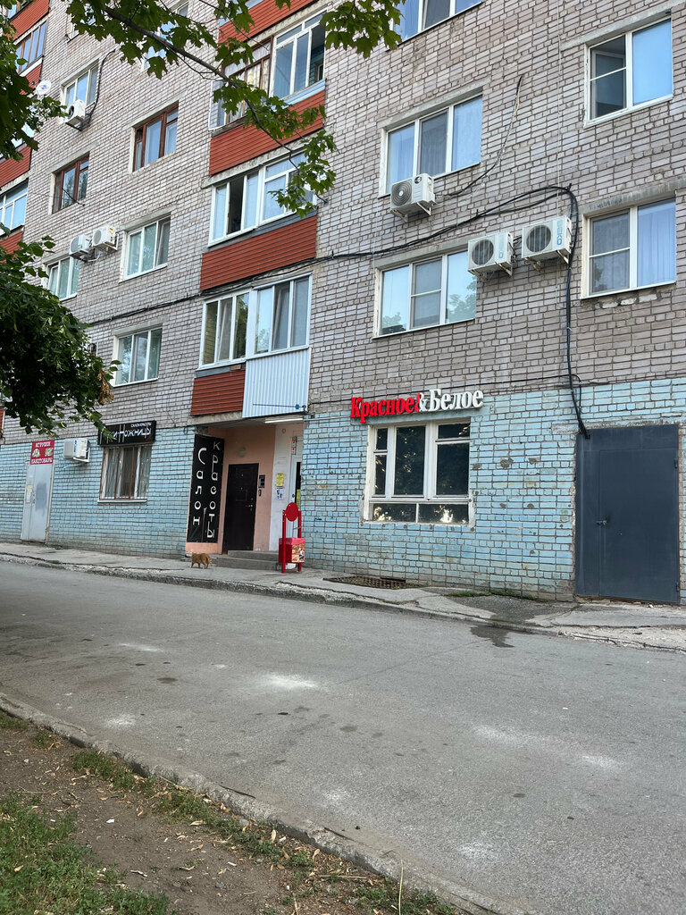 Alcoholic beverages Krasnoe&Beloe, Samara, photo