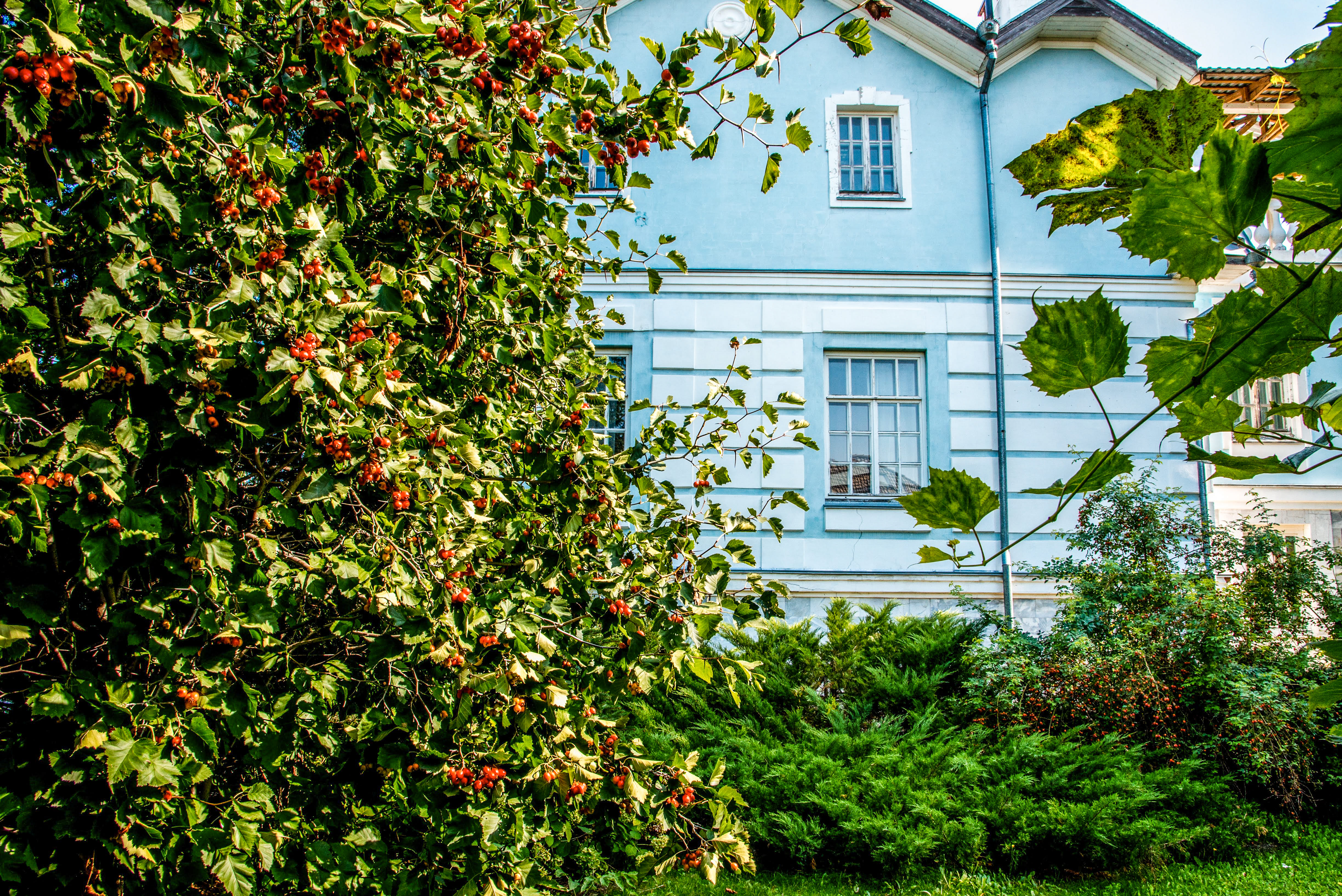 Фото Усадьба Поспеева