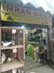 Imran Birds (Combo Colony, Nadeem Shaheed Road, 5), egg and poultry meat