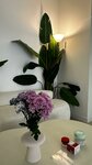 12.07 Beauty (ulitsa Markusa, 51), depilación