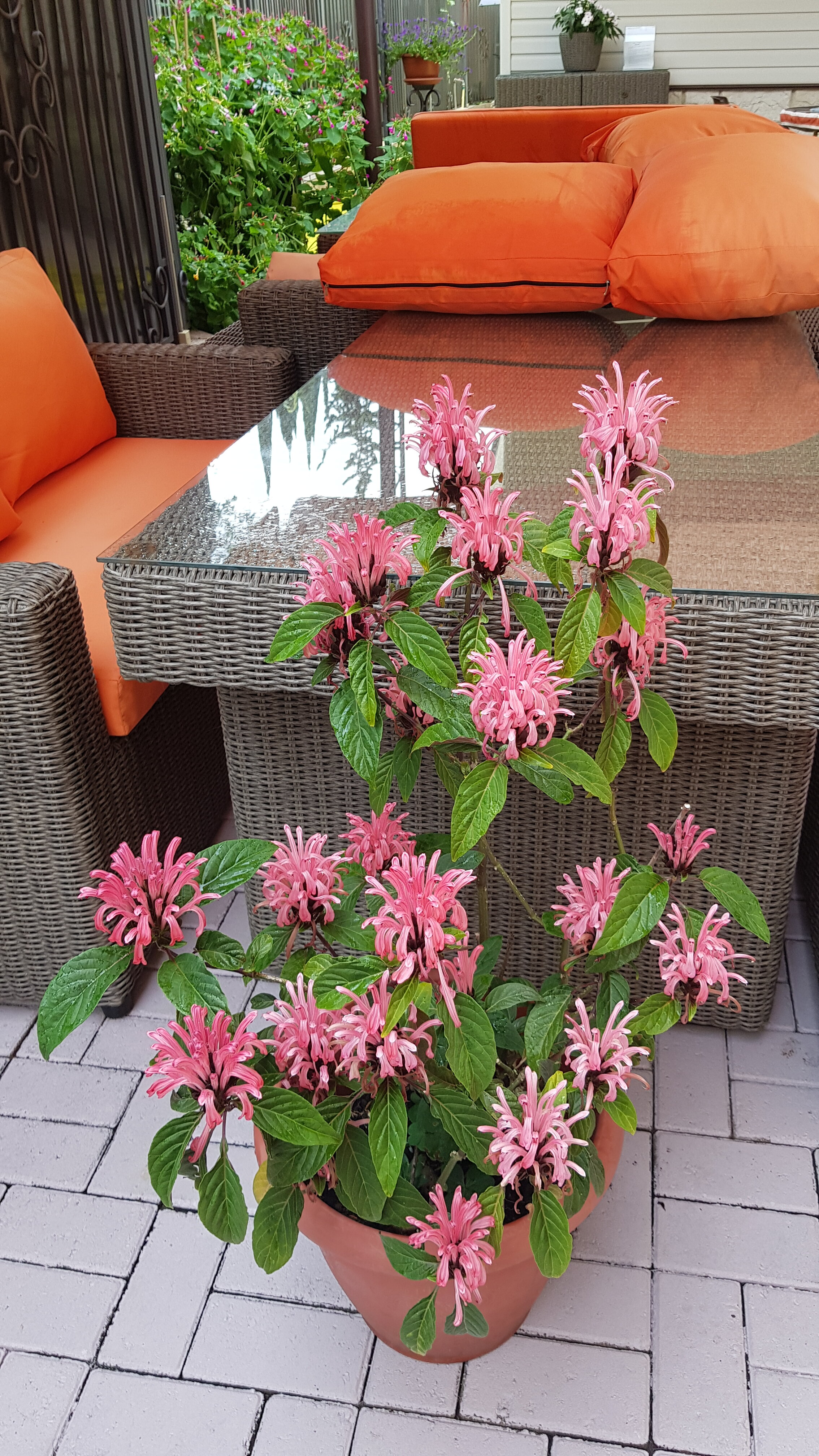 Фото Марокко