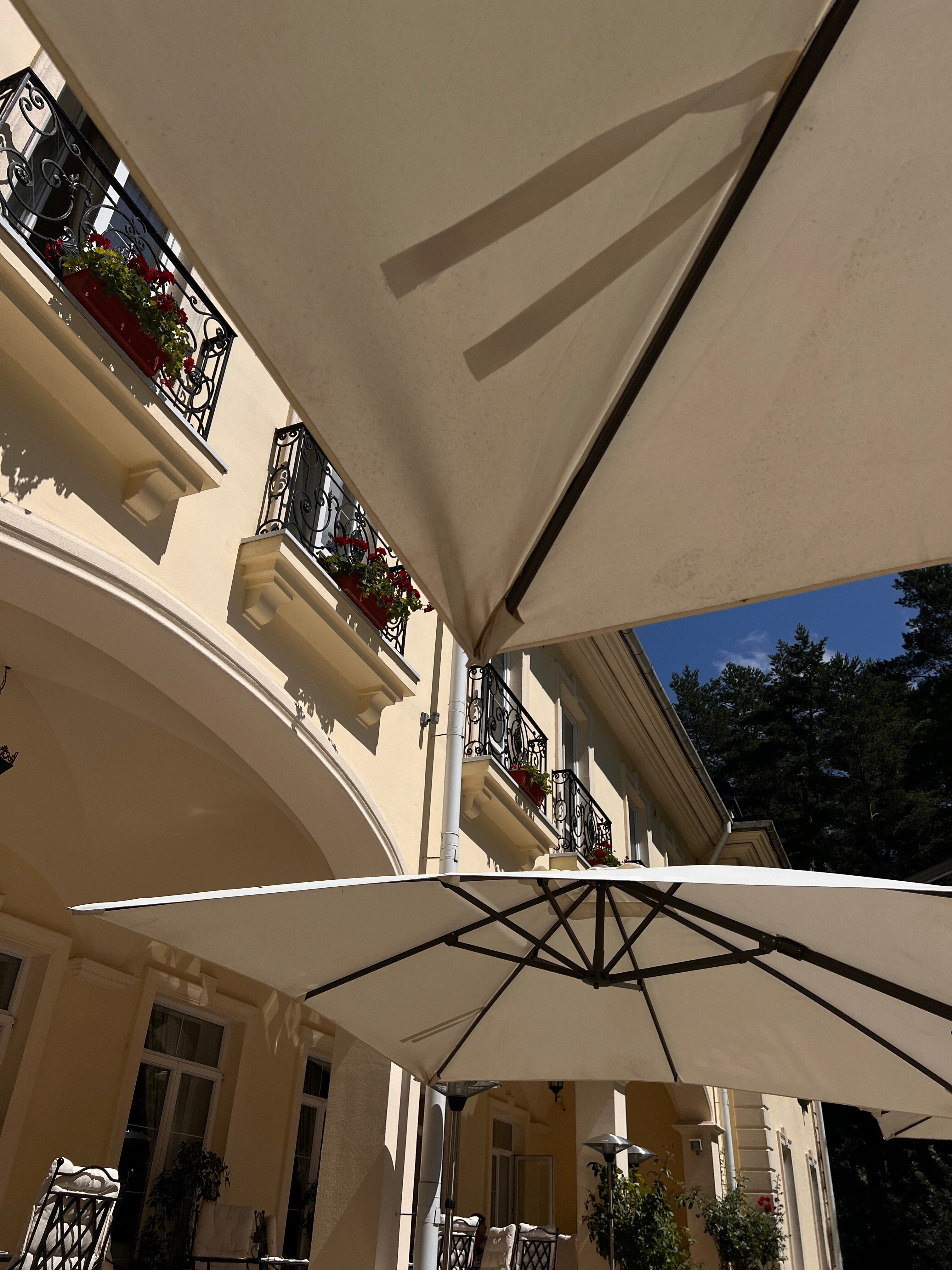 Фото Кронон Парк Отель