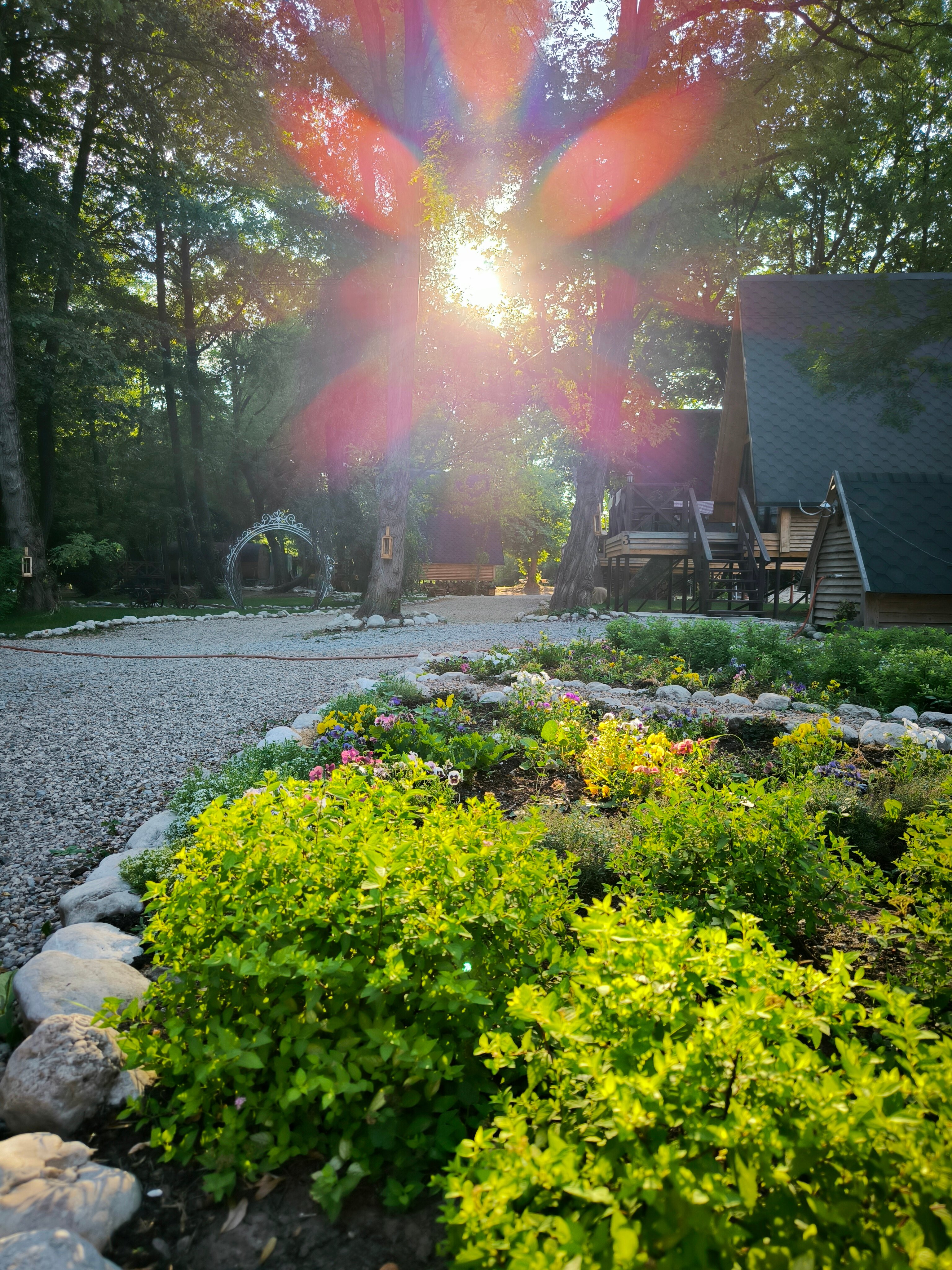 Фото Богатый лес