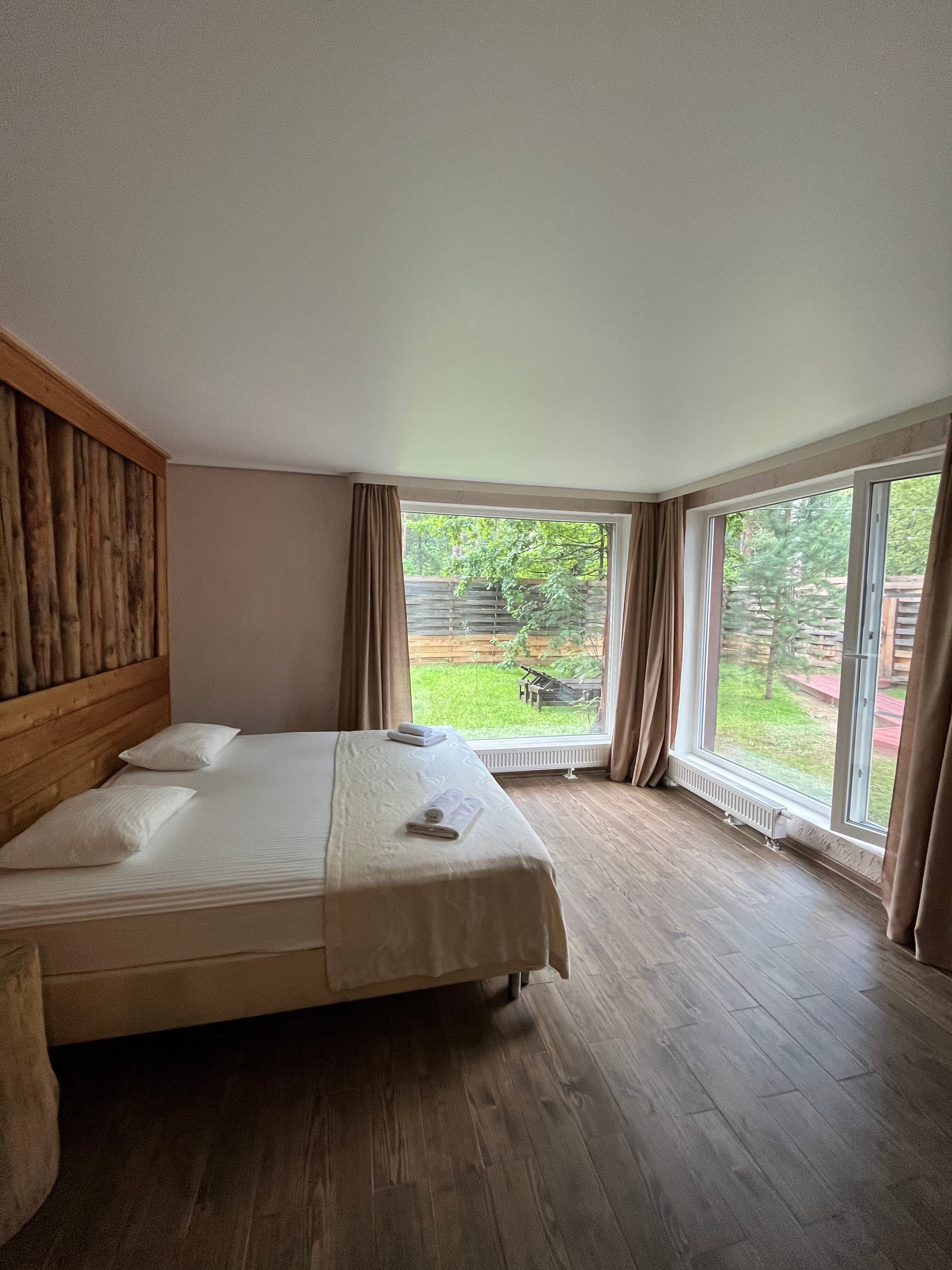 Фото Гуси-Лебеди