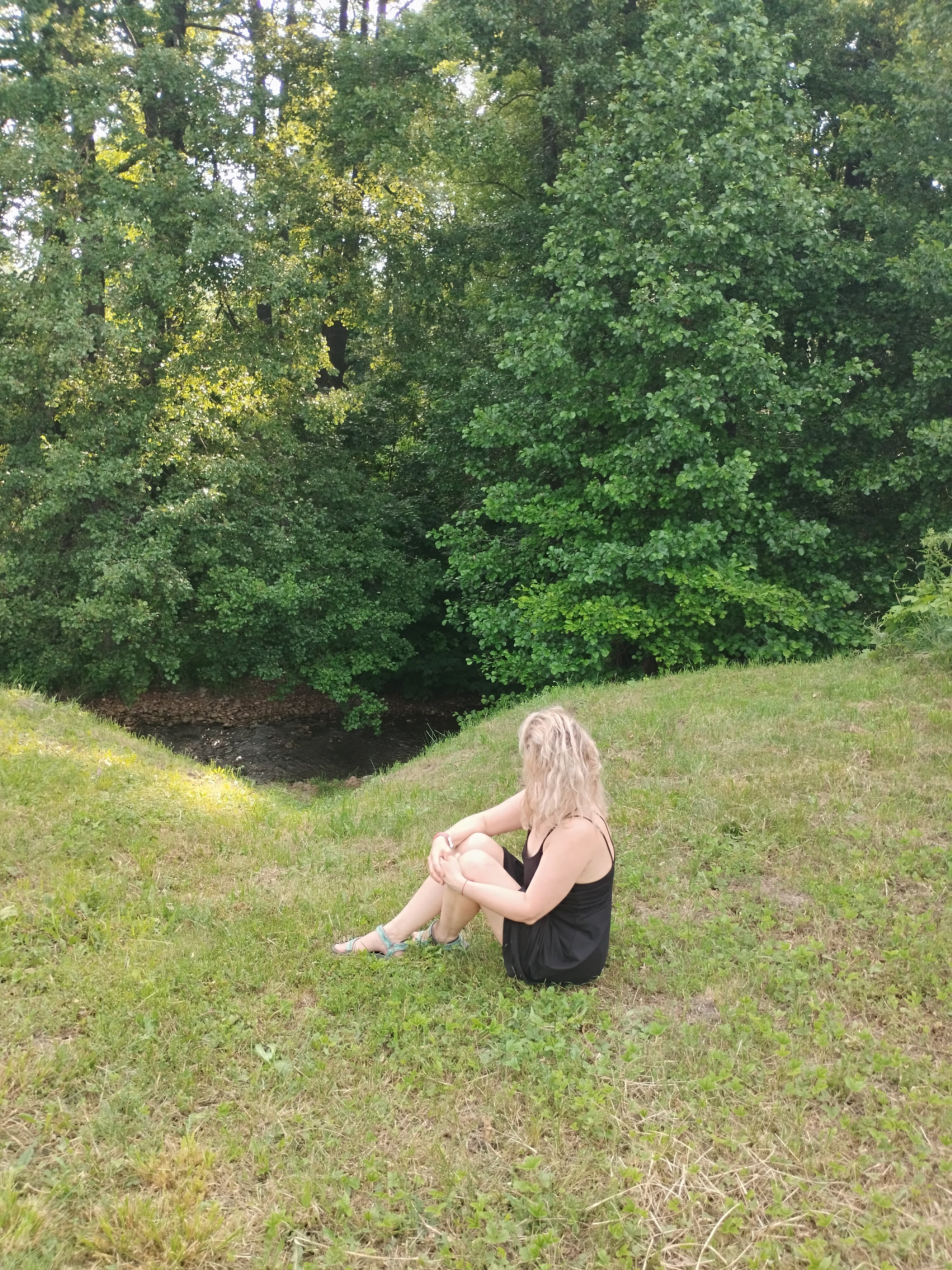 Фото Лесная сказка