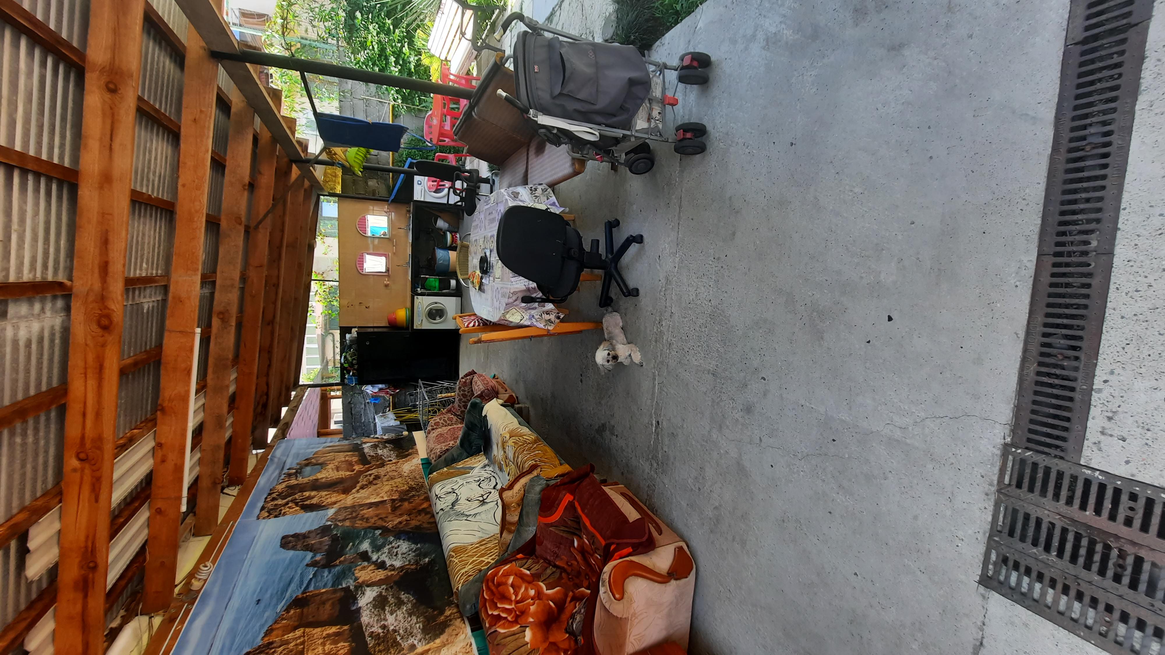 Фото Bamboo Garden