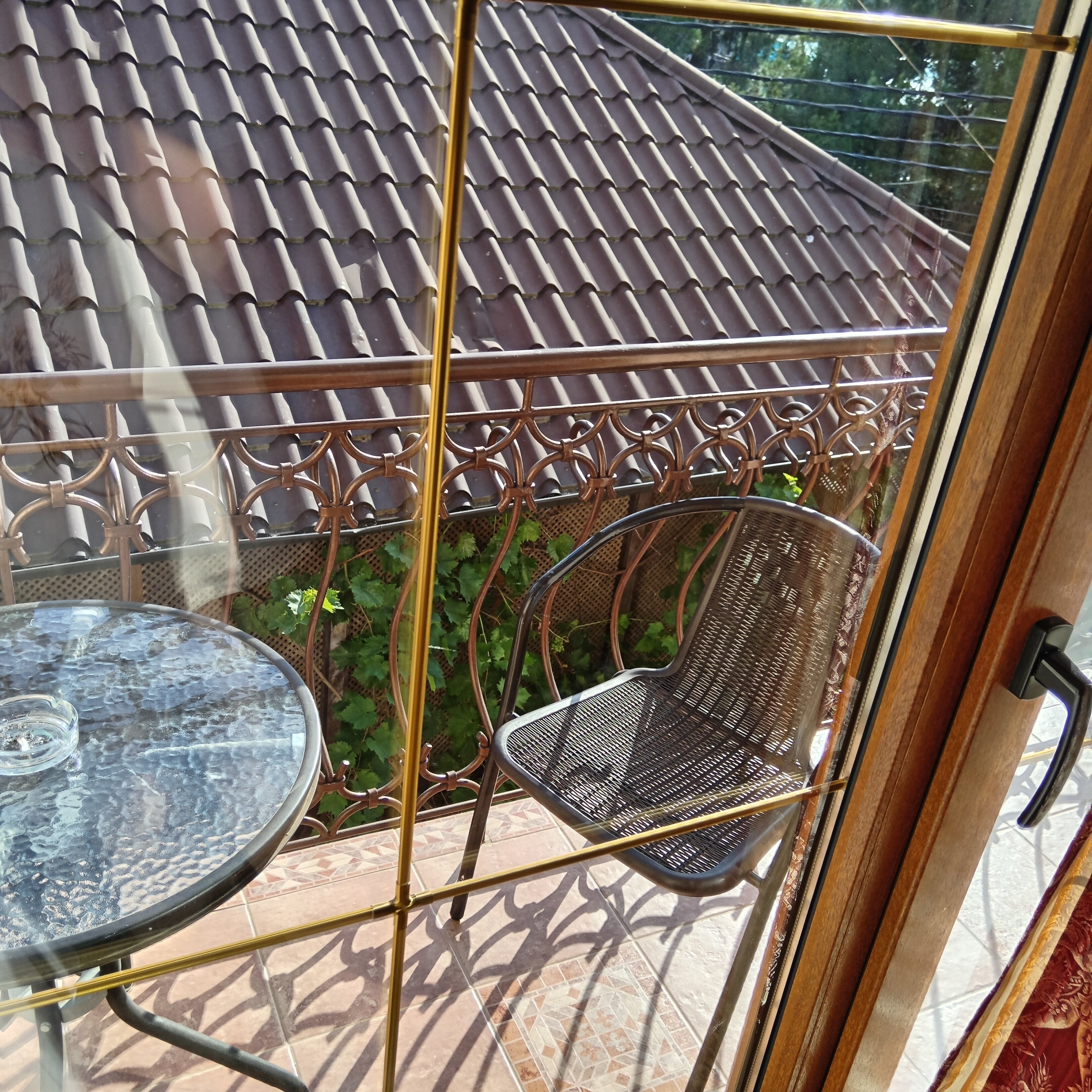 Фото Дивная