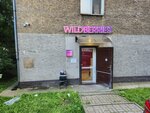 Wildberries (Krasnoselskaya Street, 11), point of delivery