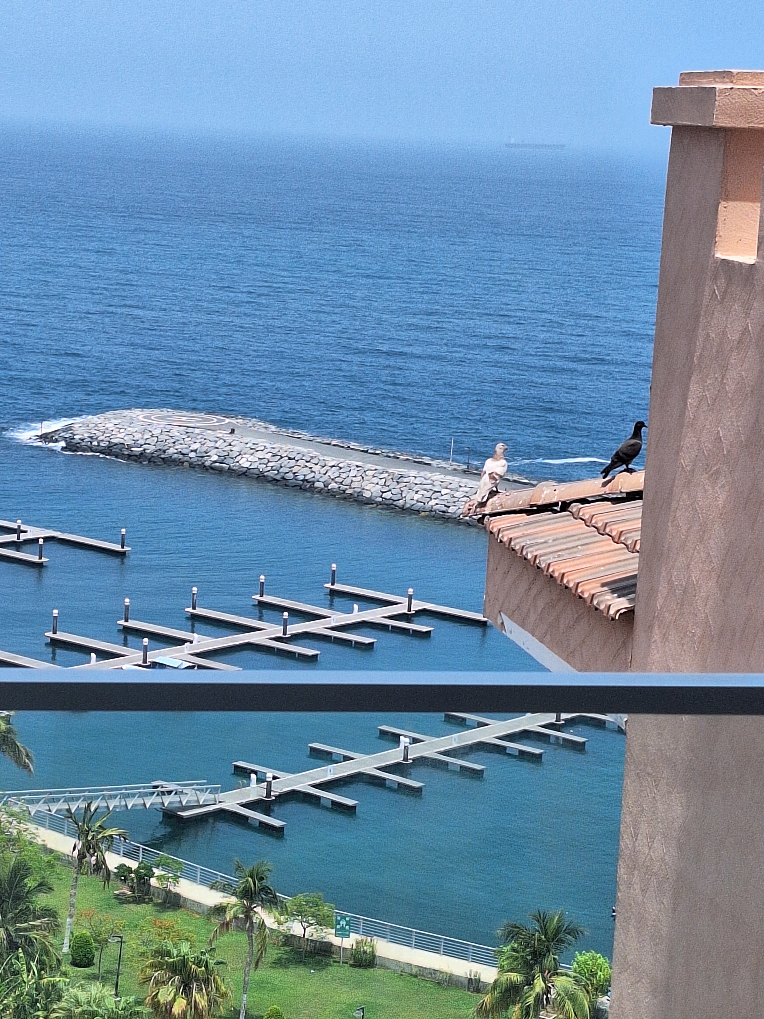 Фото Mirage Bab Al Bahar Hotel