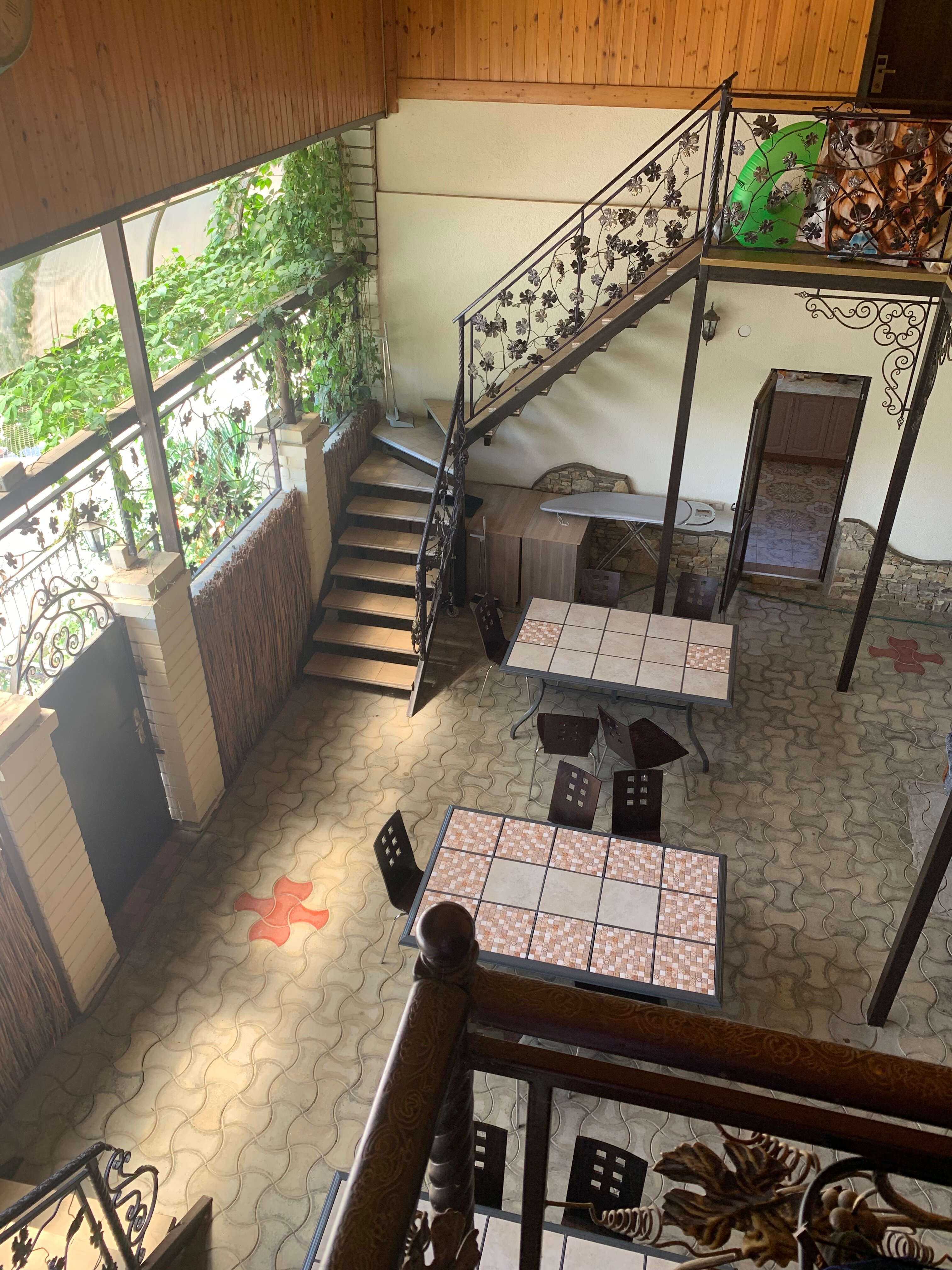 Фото Дельфиния