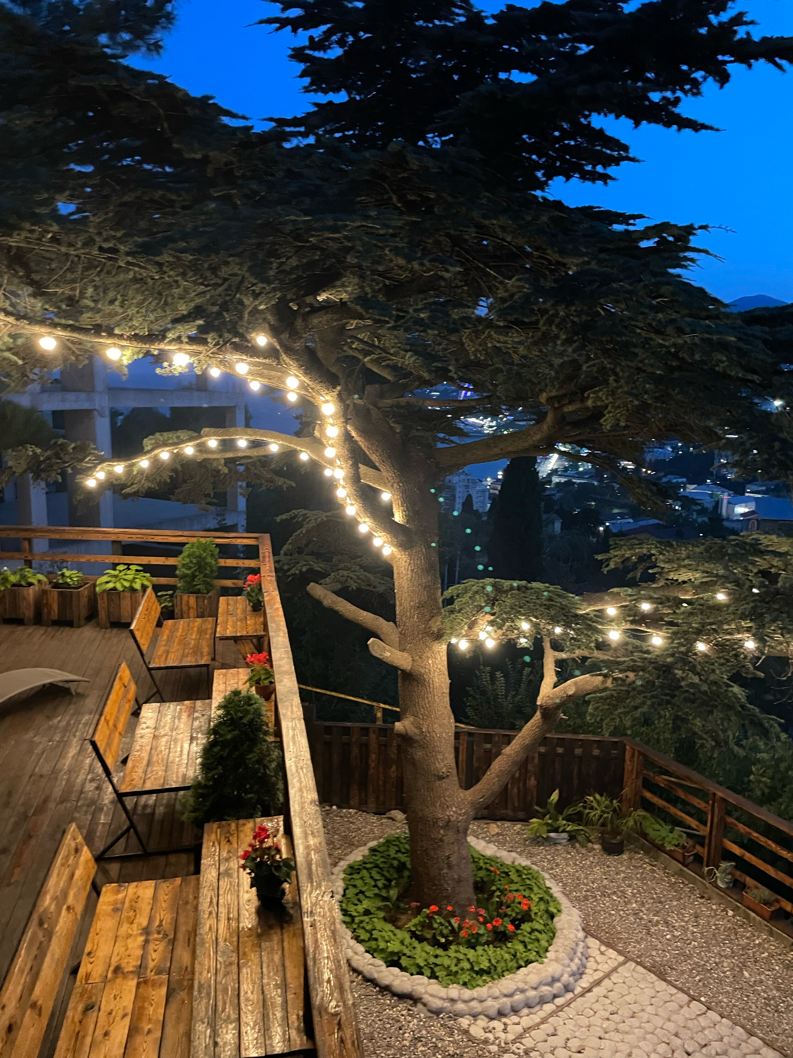 Фото Мистер Тукер