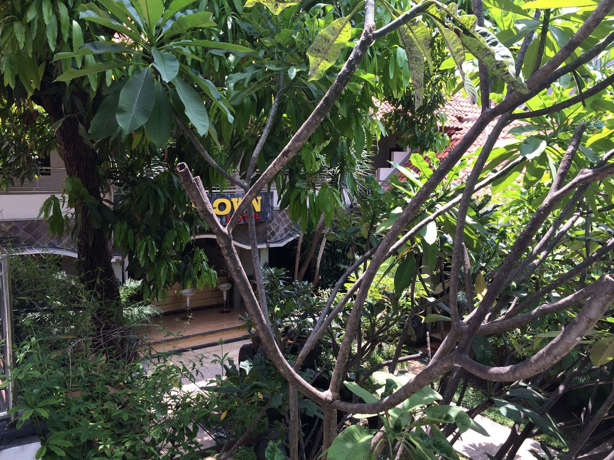 Фото Crown Hotel