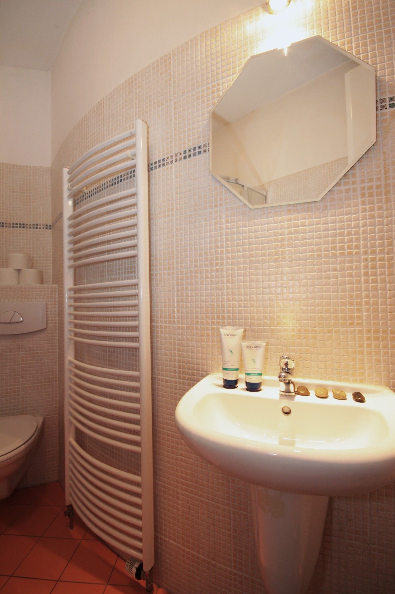 Фото V lesicku residence