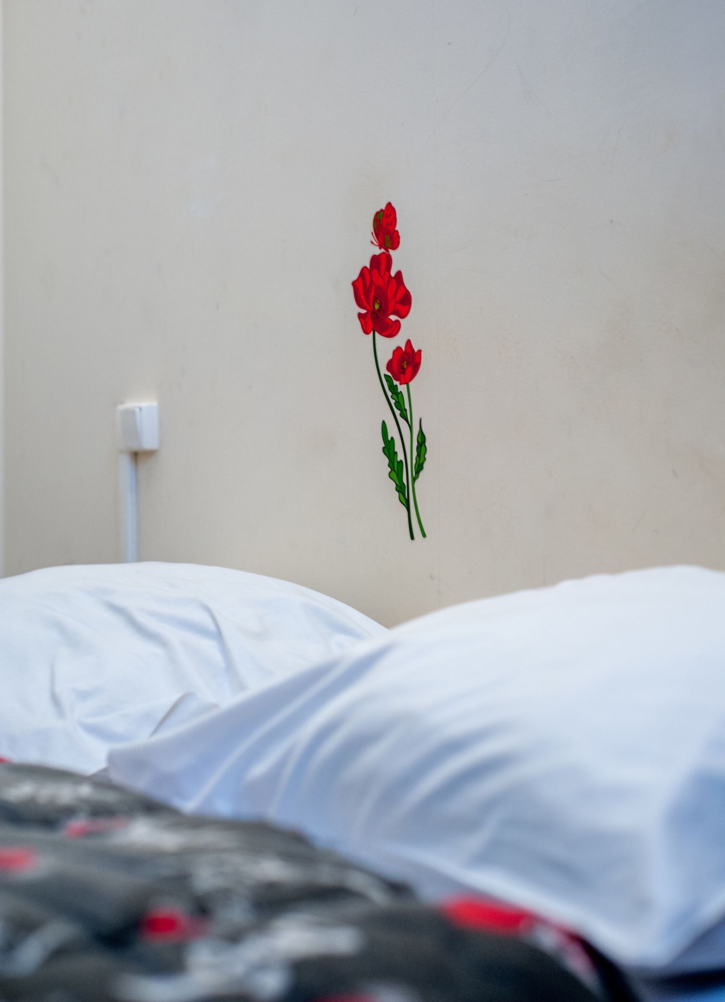 Фото Hotel des Andelys