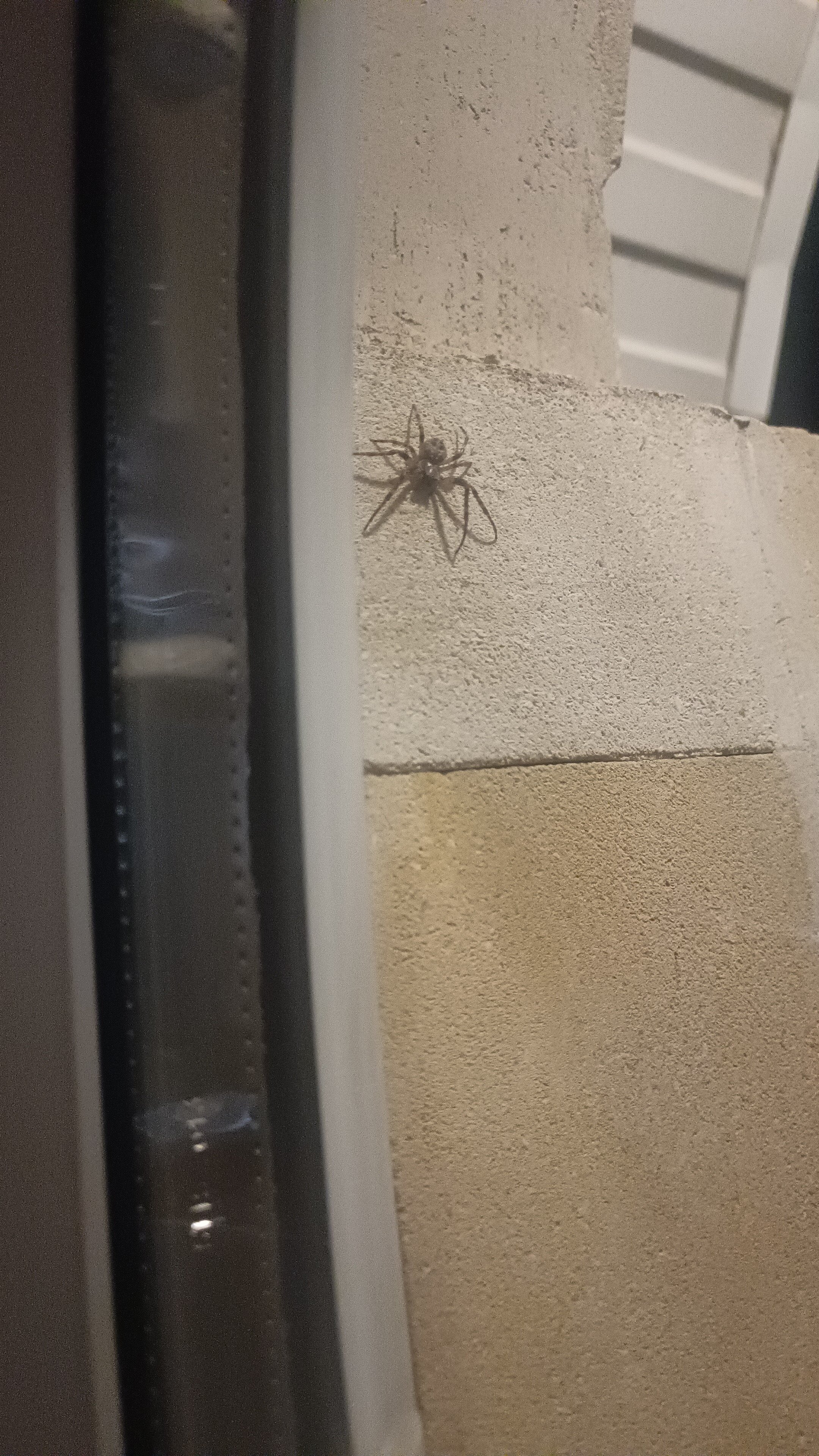 Фото Аттика