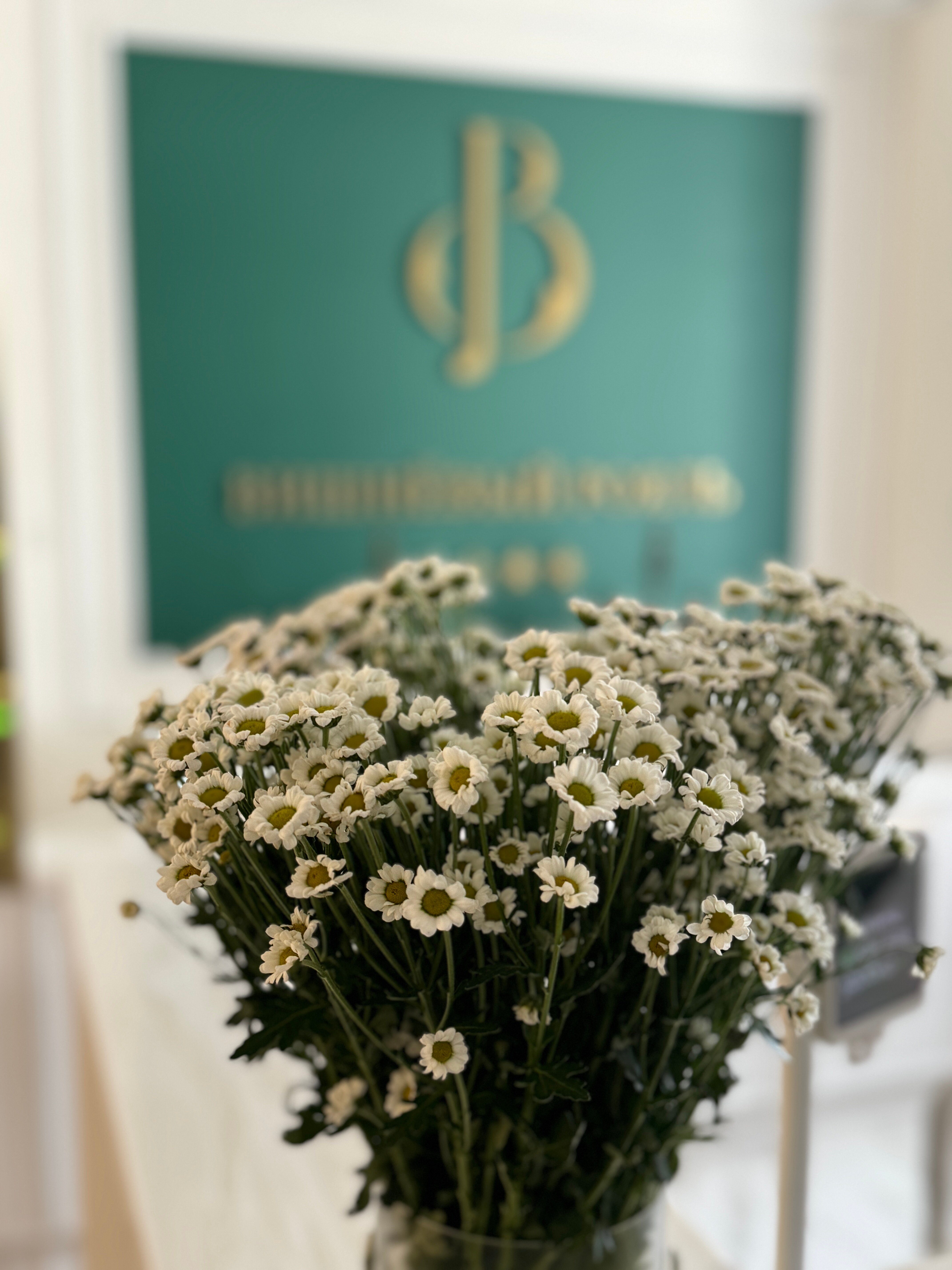 Фото Вишневый Рояль