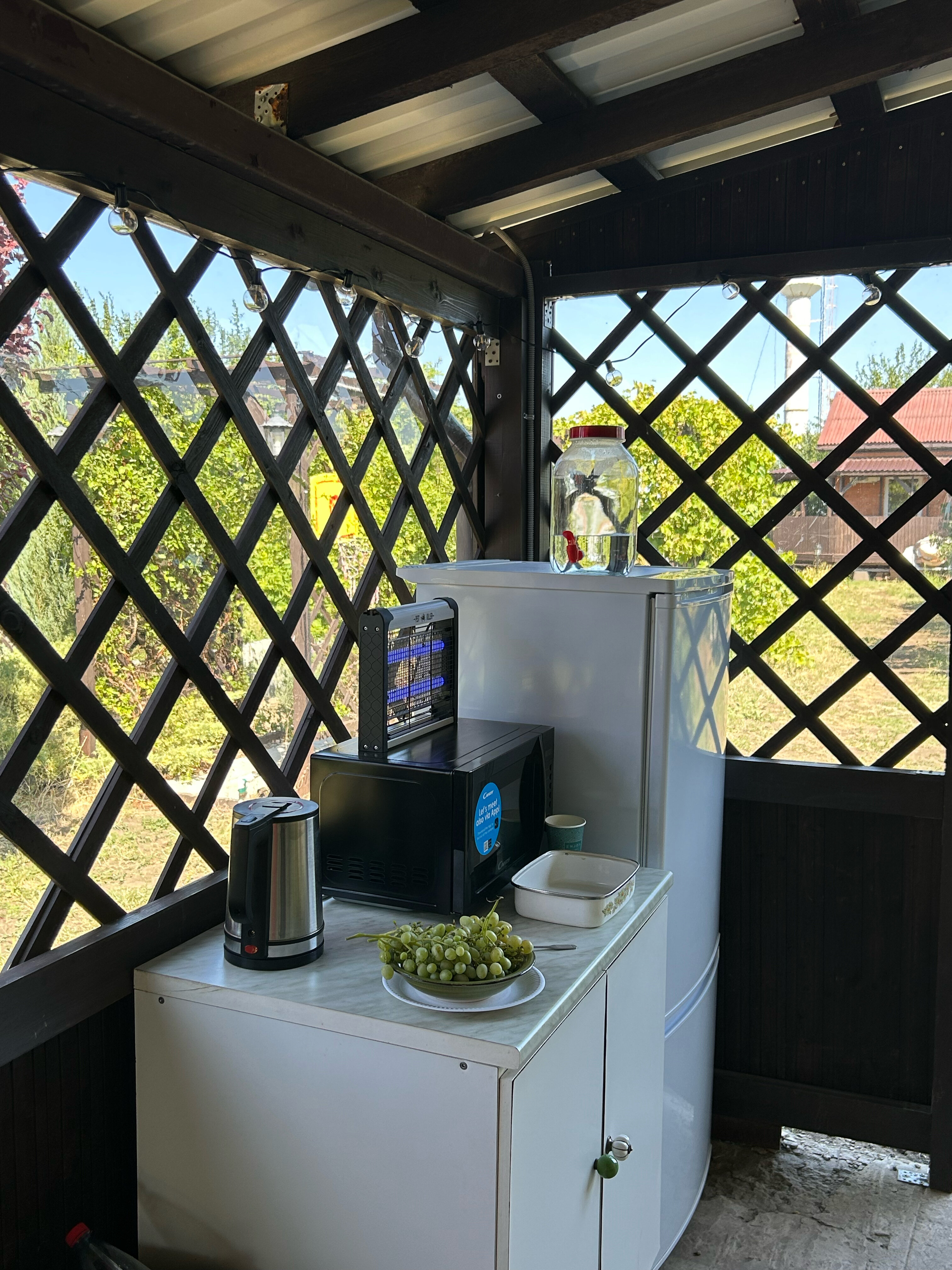 Фото Мишкина Дача