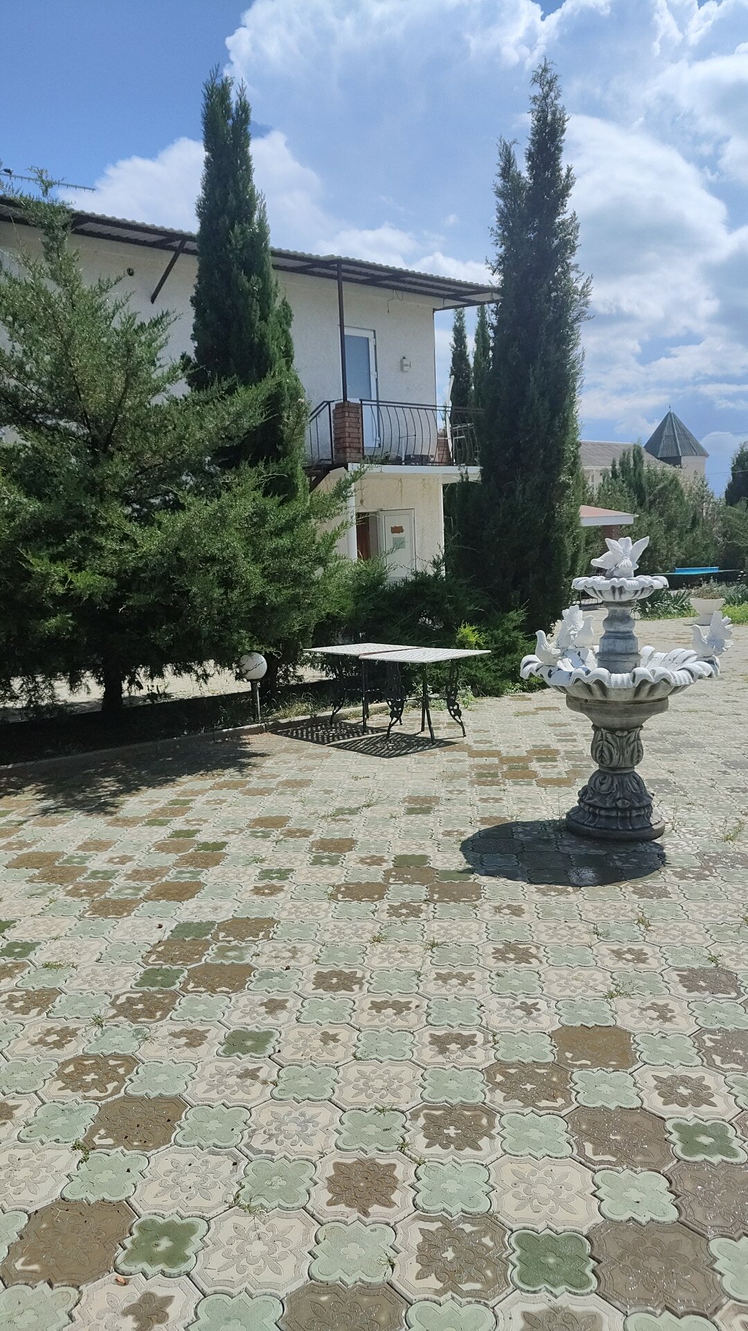 Фото Дружба