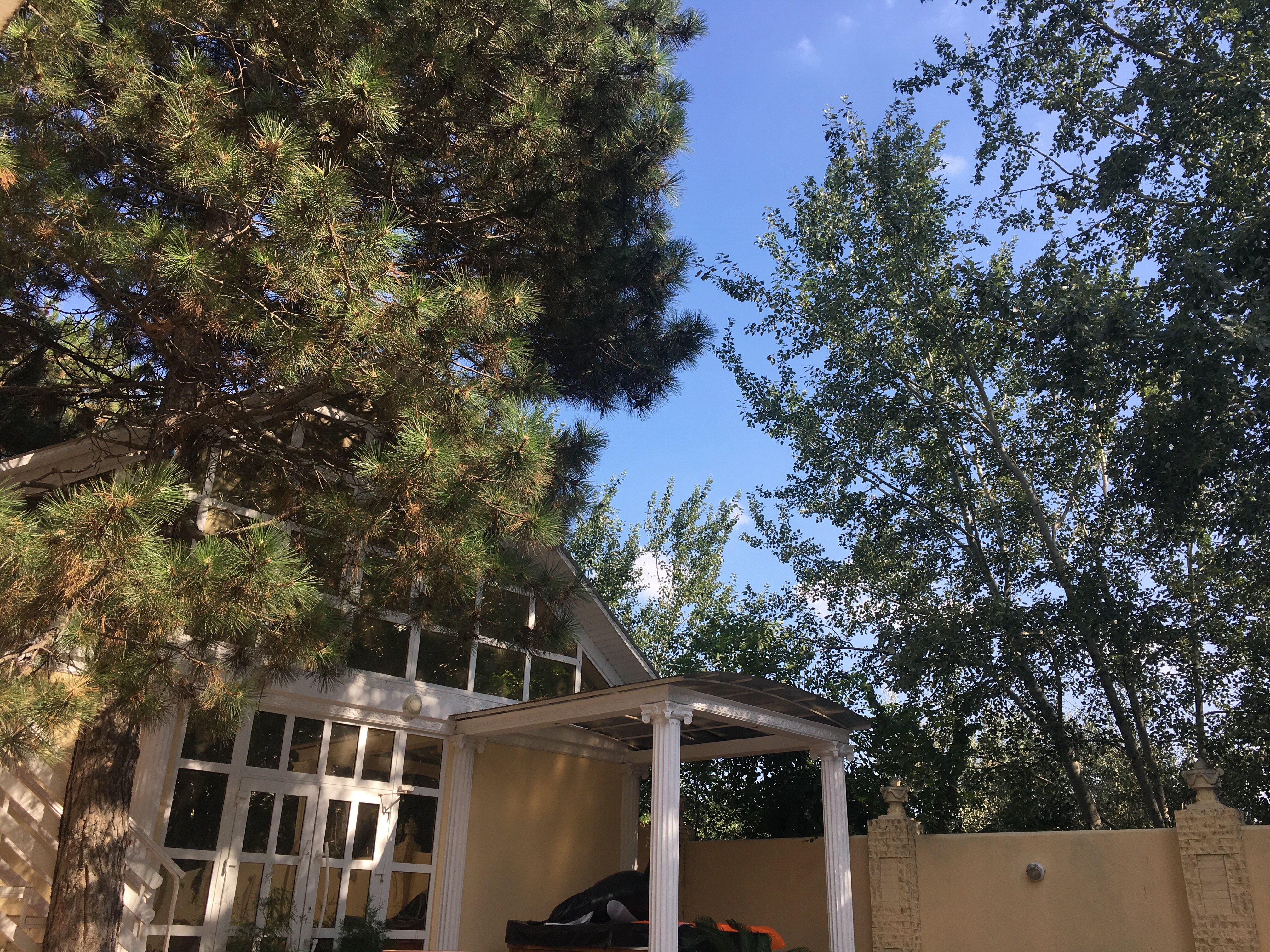 Фото Фотини